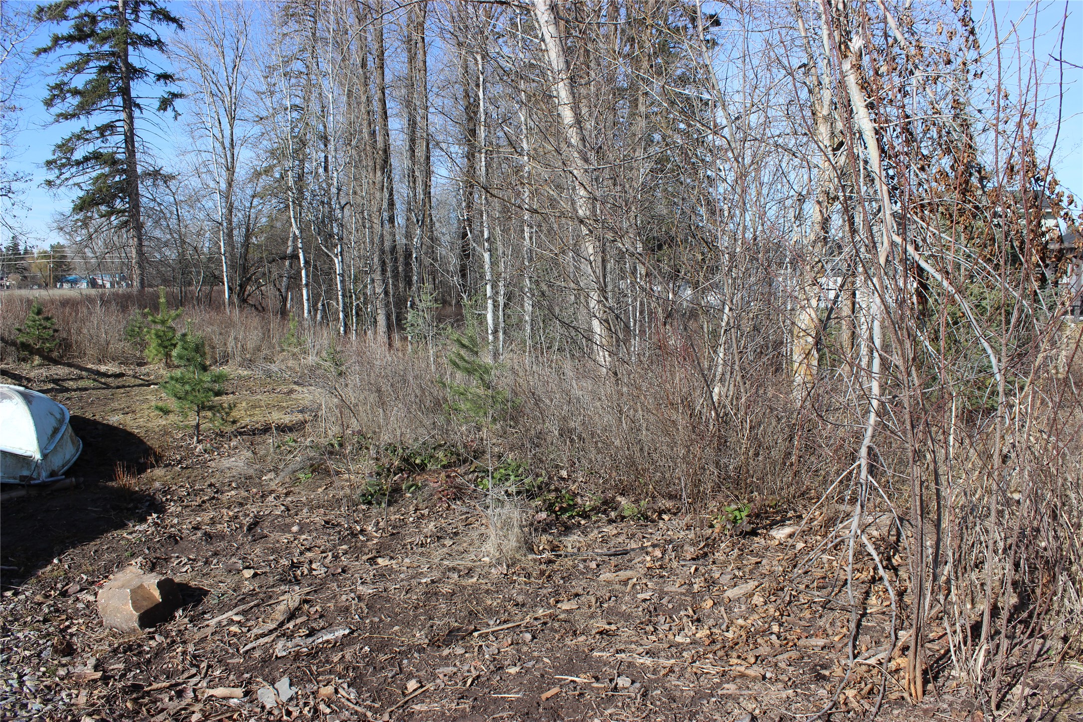 497 Kendal Loop Property Photo 43