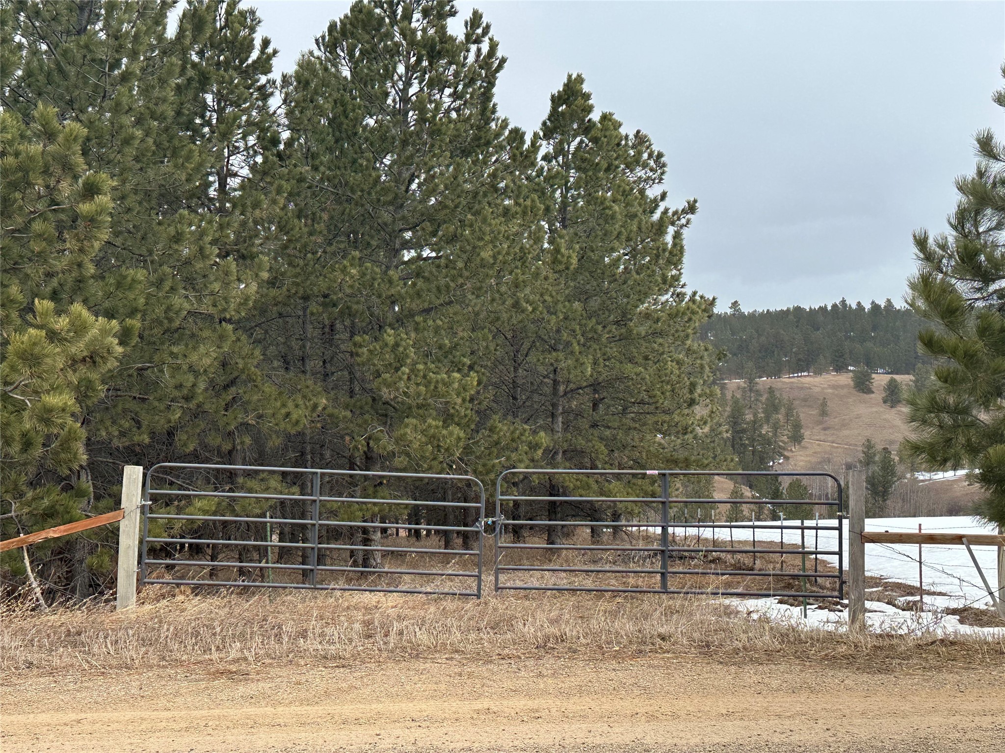 Tbd Forest Grove Road Property Photo
