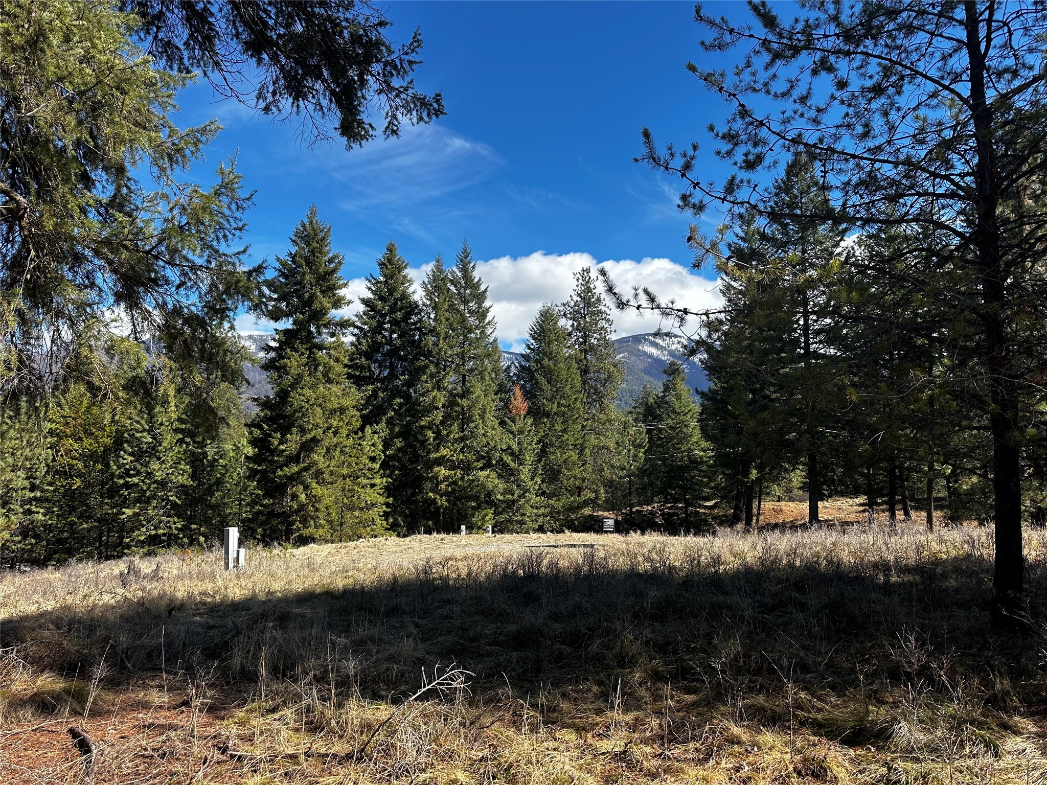 Nhn Mossy Rock Court Property Photo