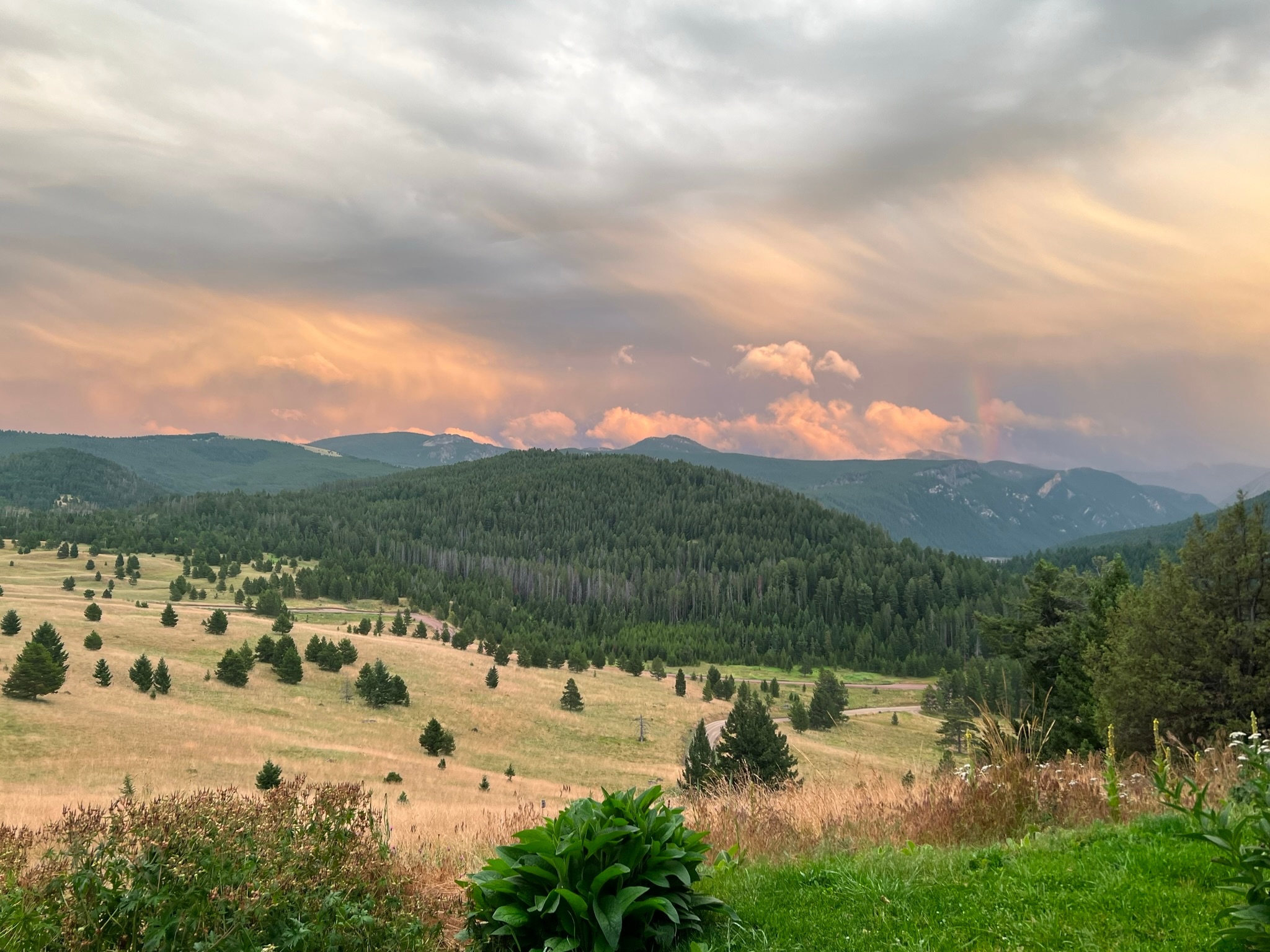 Lot 31 Mountain Moose Road Property Photo