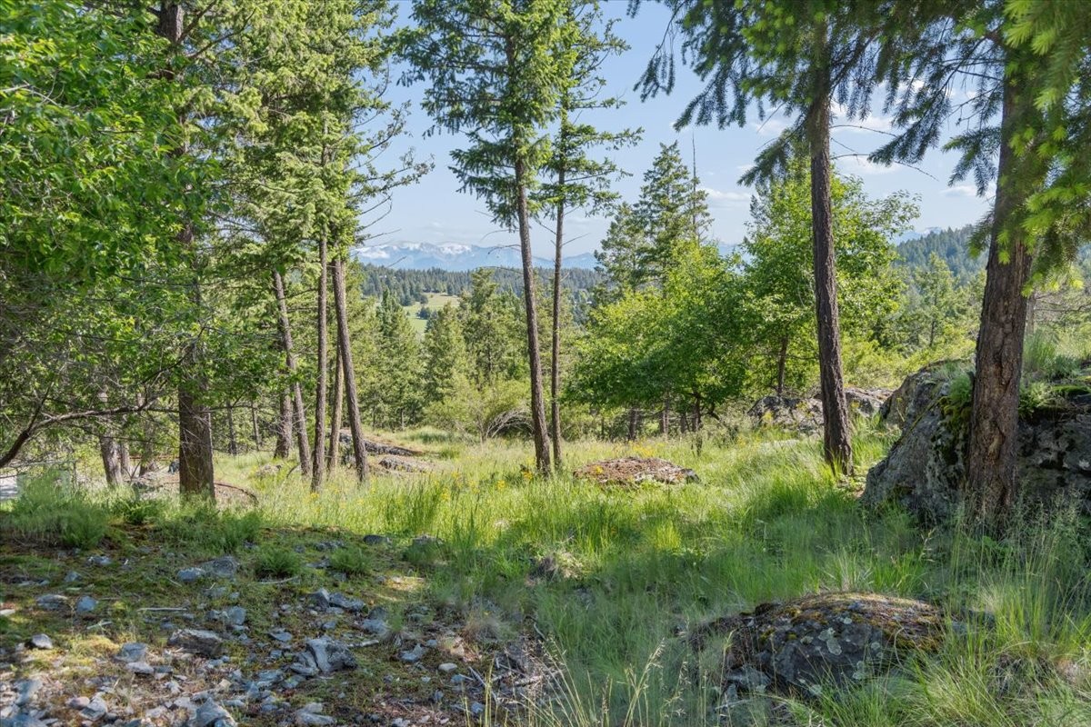 175 Aerie Place Property Photo 3