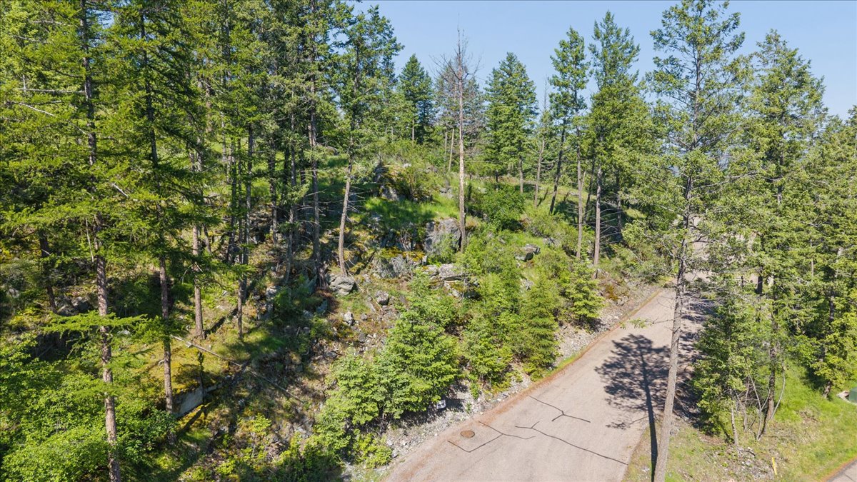 175 Aerie Place Property Photo 6