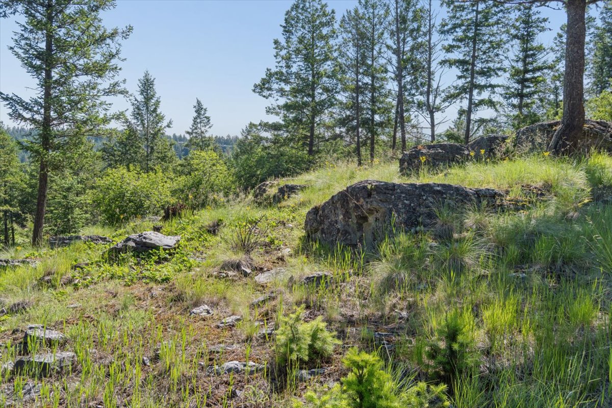 175 Aerie Place Property Photo 15
