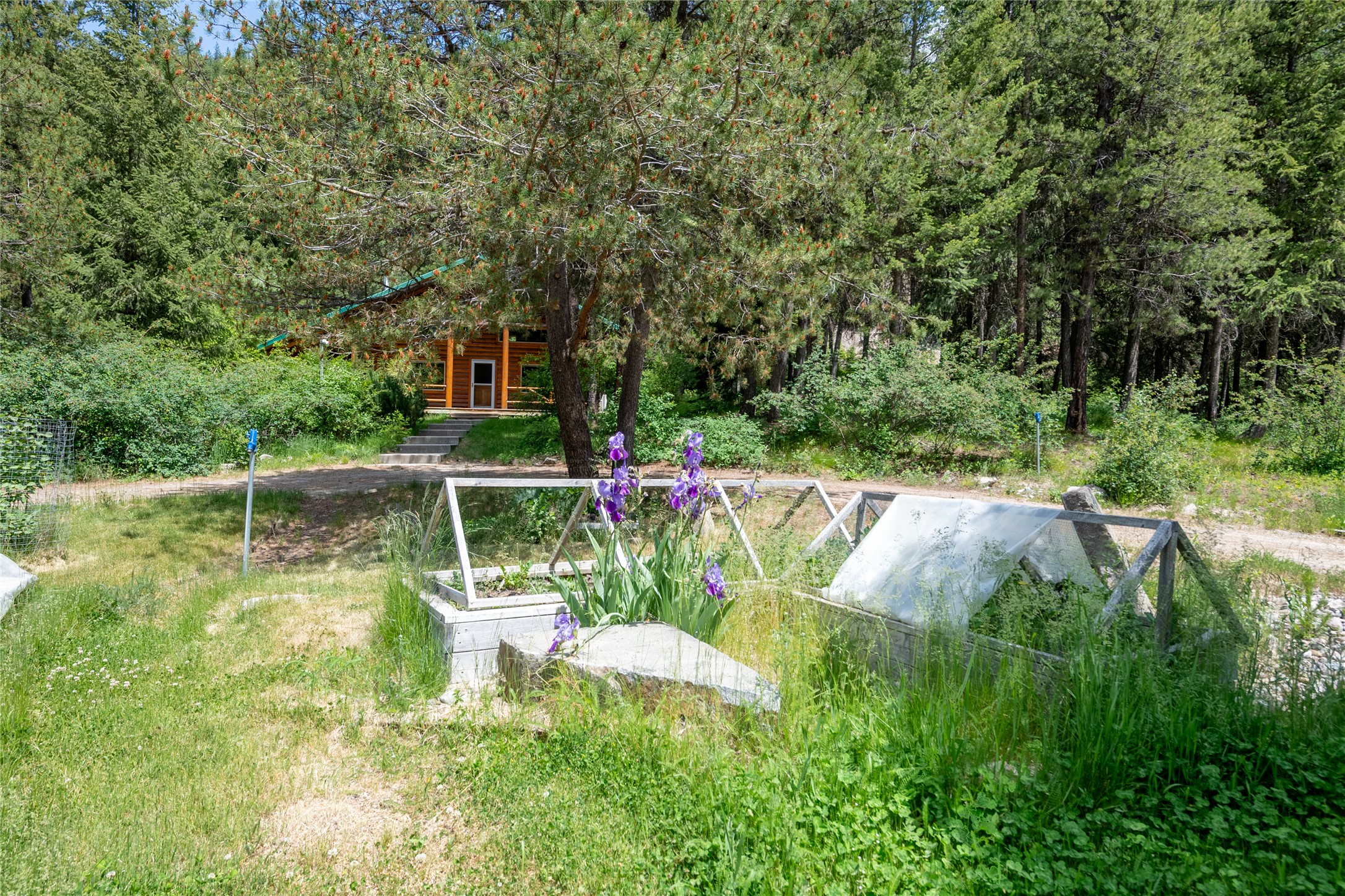 353 Cougar Meadow Drive Property Photo 8