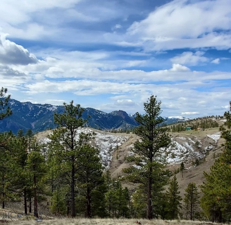 Tbd Andy Creek Lane Property Photo