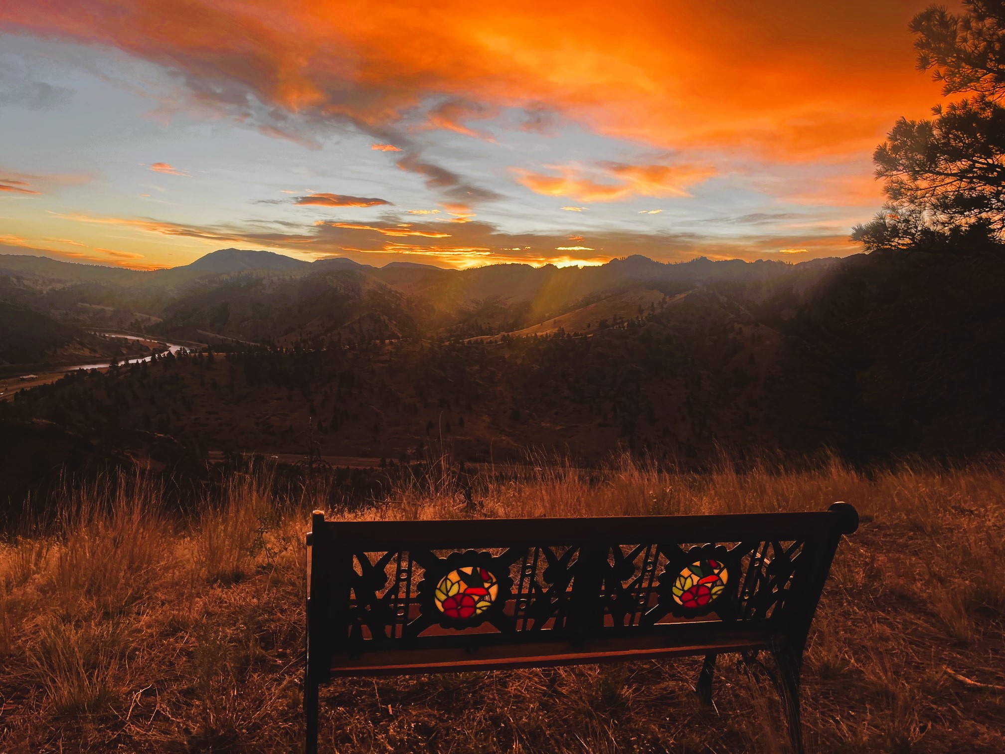 146 Pioneer Trail Lane Property Photo