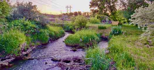 0 Belly Acres Property Photo 1
