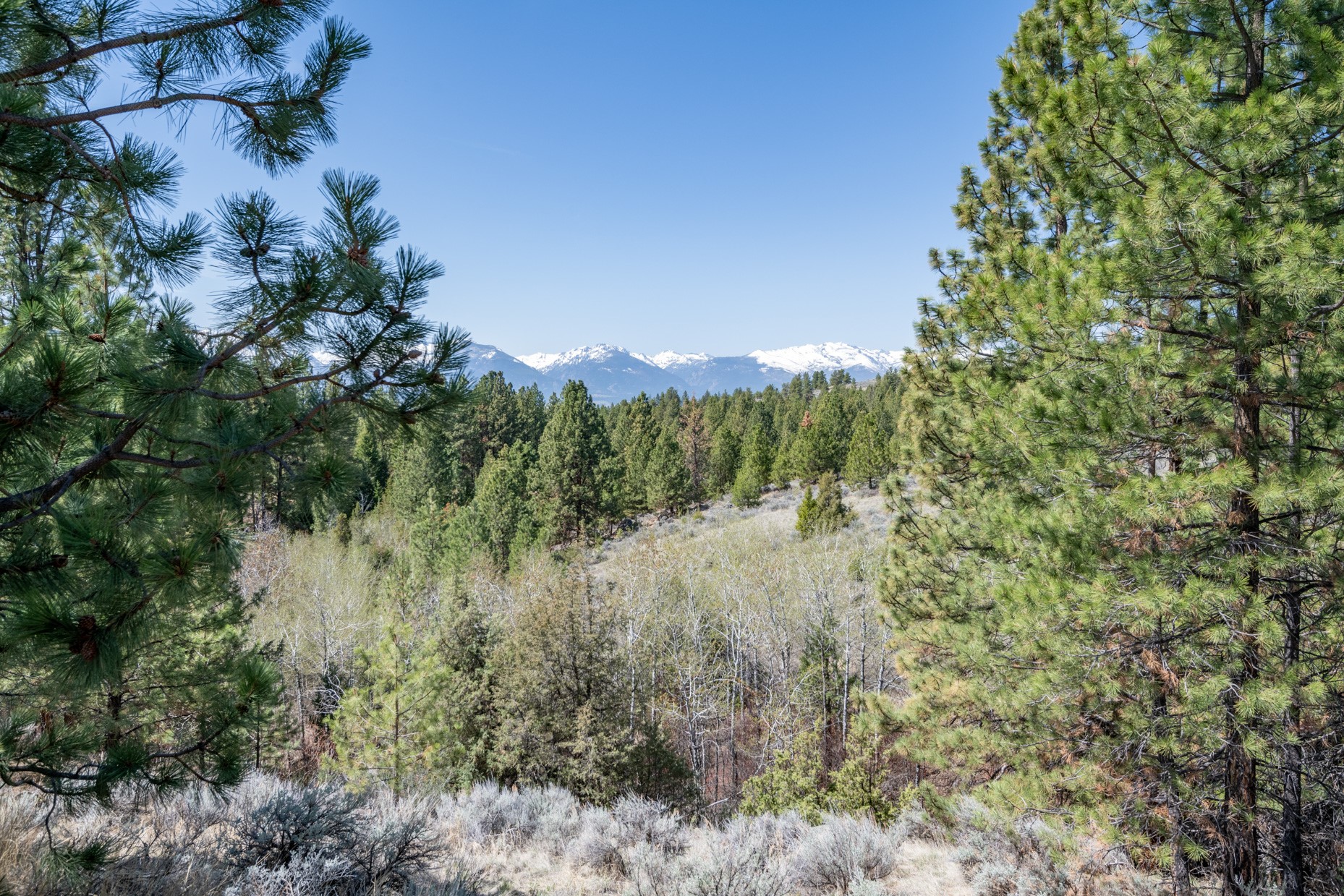 Tract 265 Sapphire Ranch Trail Property Photo