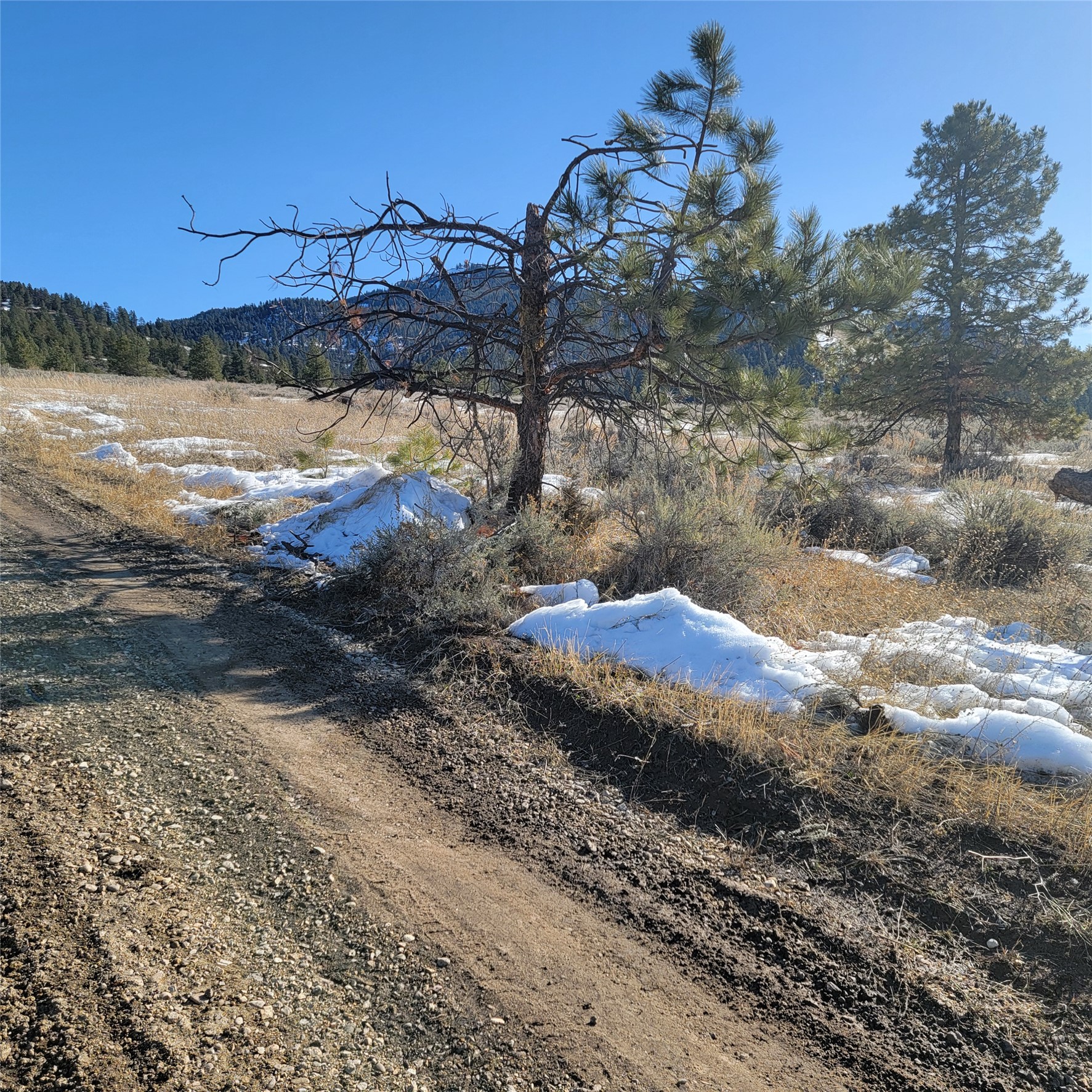 Lot B Sapphire Ranch Trail Property Photo 3