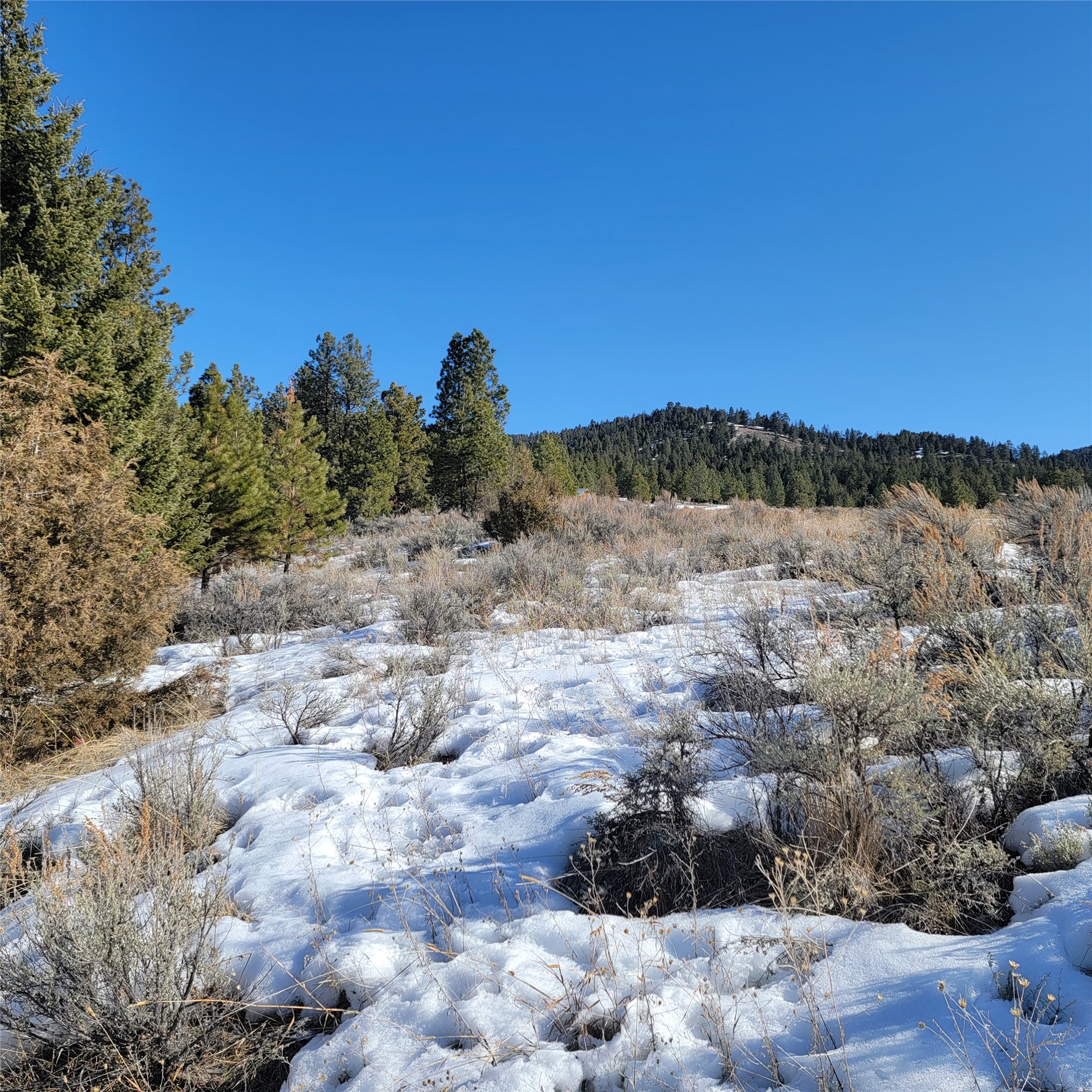 Lot B Sapphire Ranch Trail Property Photo 4