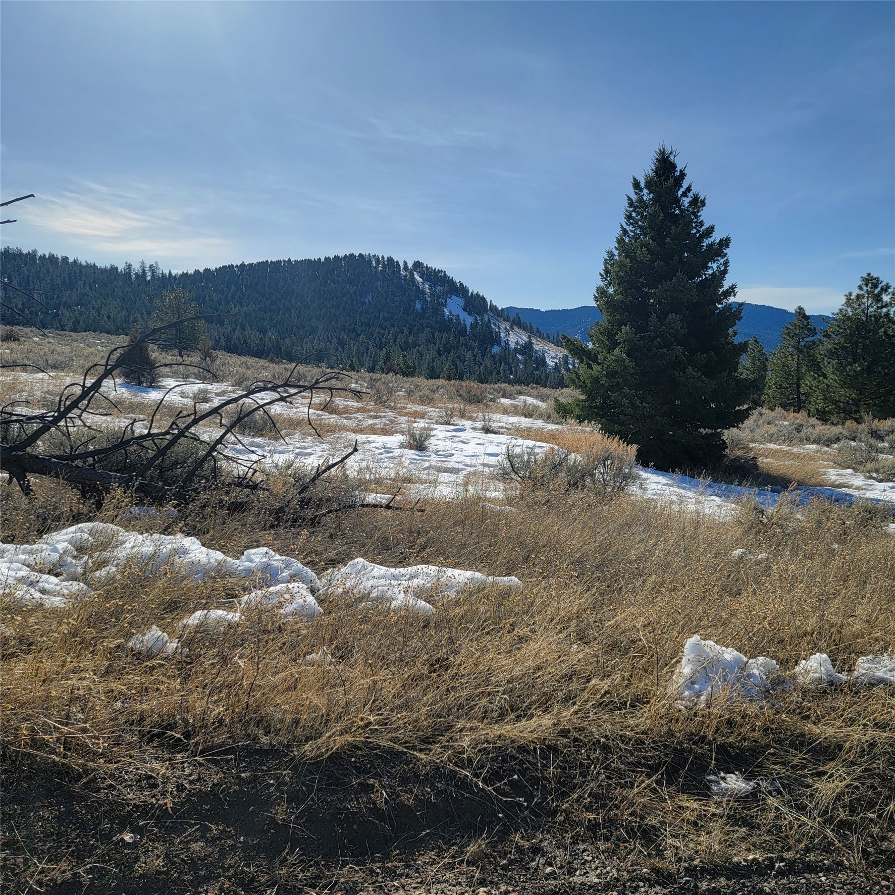 Lot B Sapphire Ranch Trail Property Photo 6