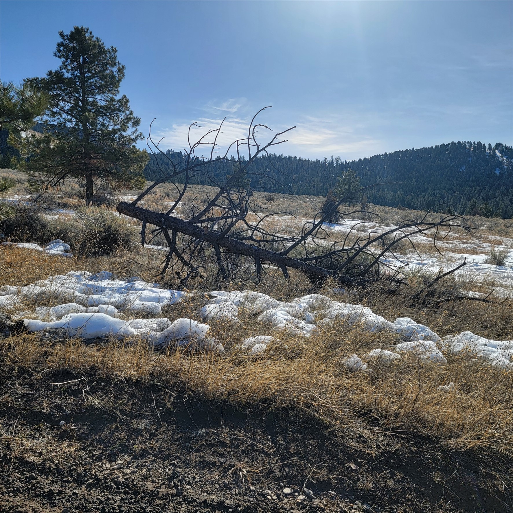 Lot B Sapphire Ranch Trail Property Photo 13