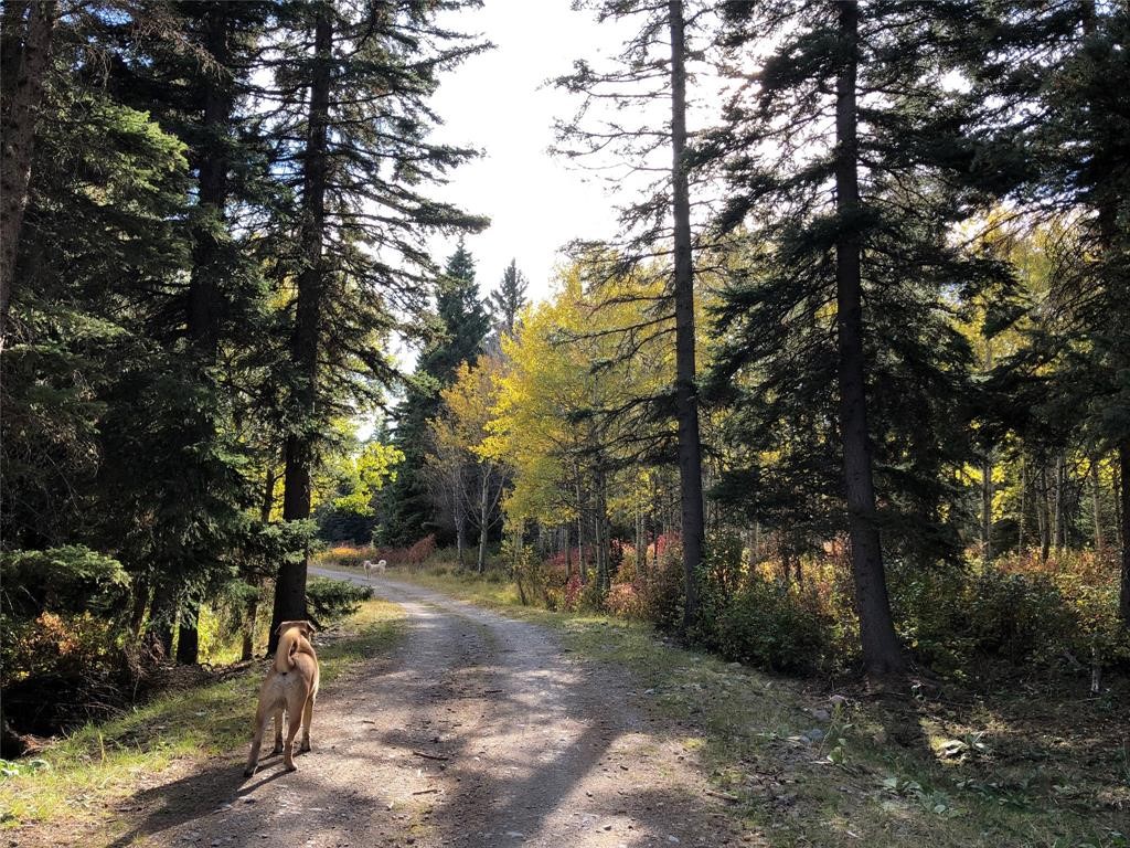 Lots 8-10 Valley View Road Property Photo