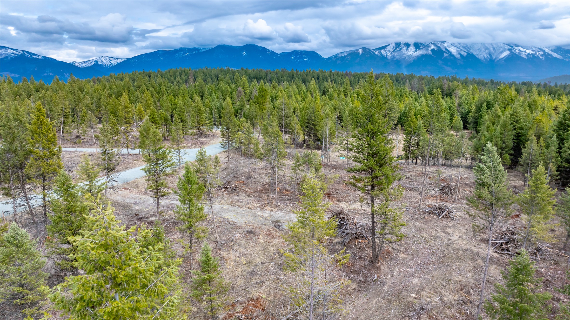 Nhn Lot #32 Osprey Loop Property Photo