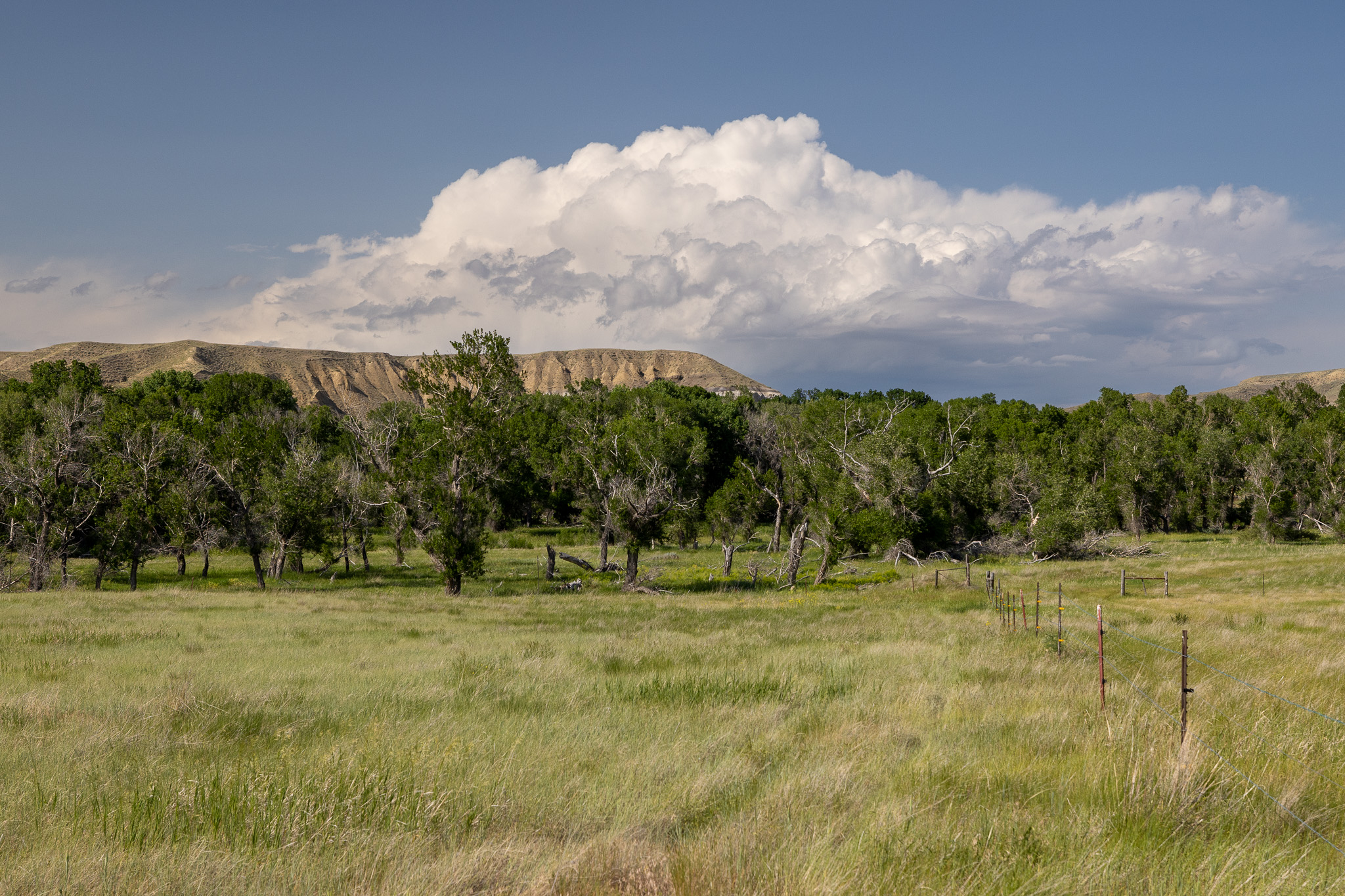 Nhn Lonely Road Property Photo 17