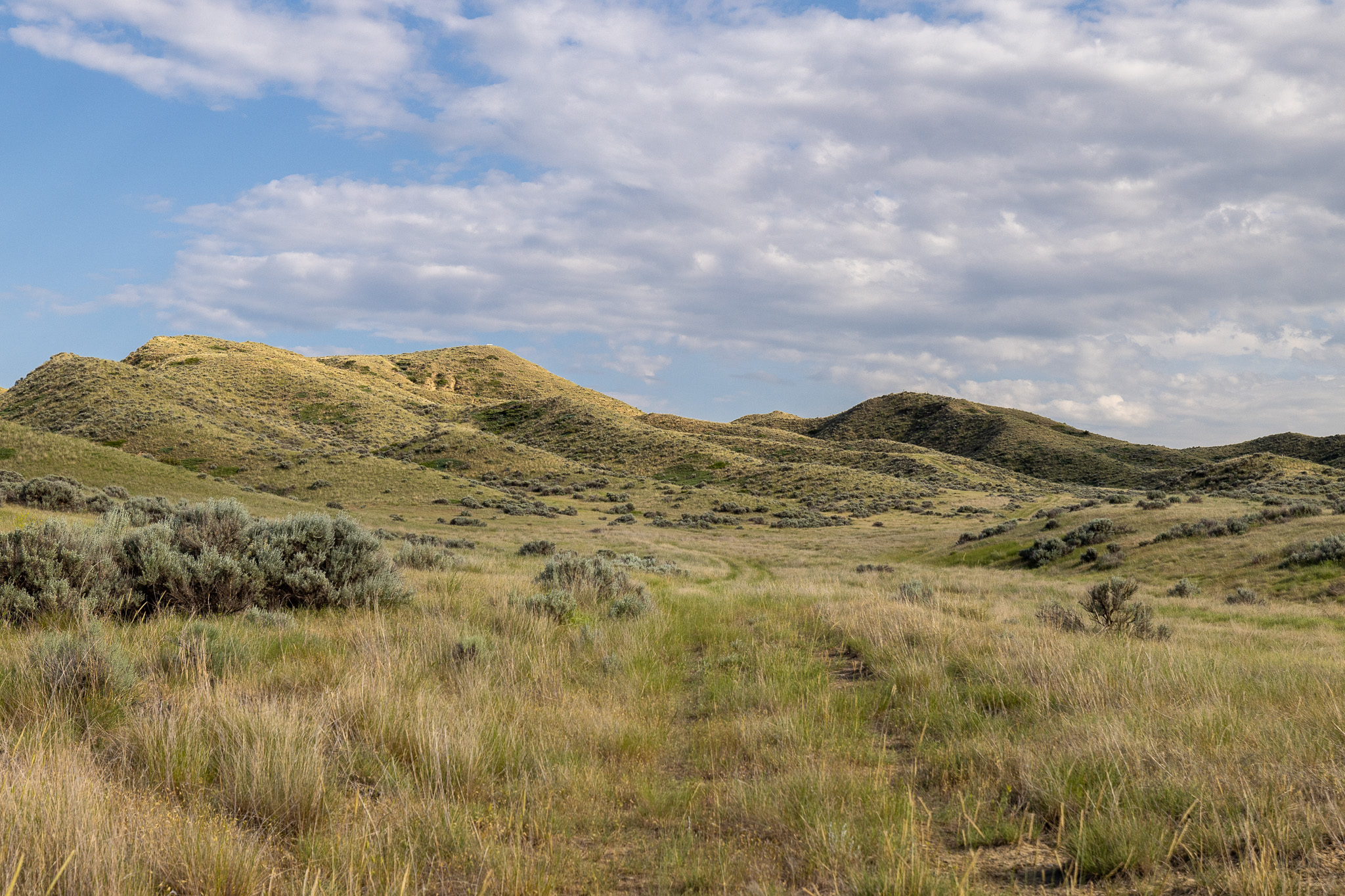 Nhn Lonely Road Property Photo 20
