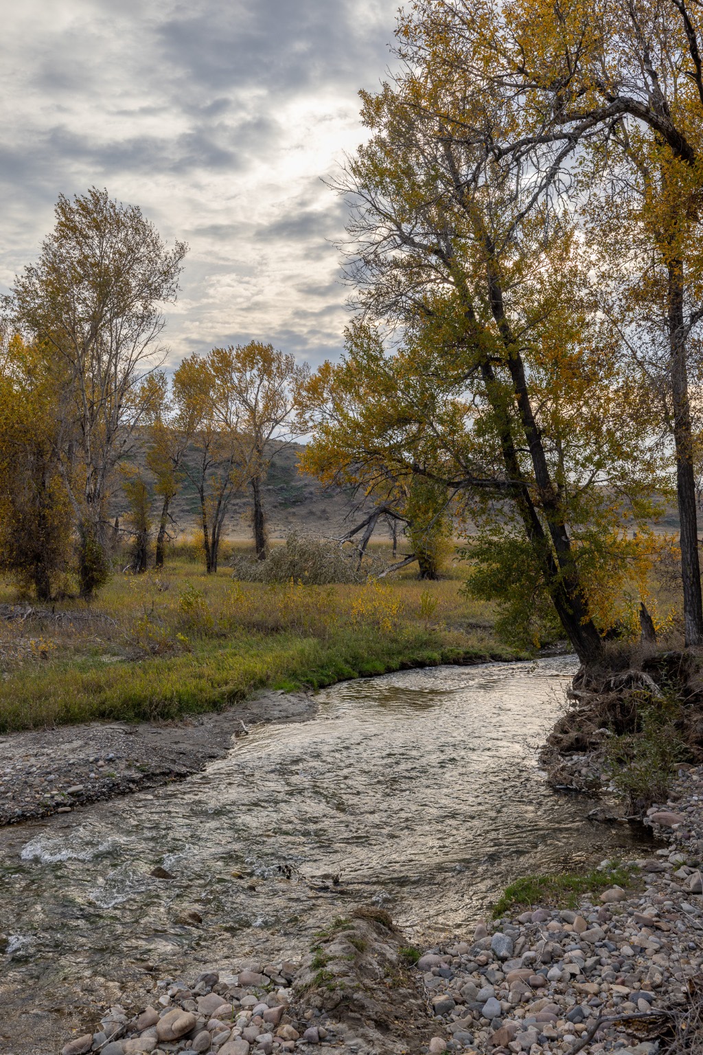 Nhn Lonely Road Property Photo 22