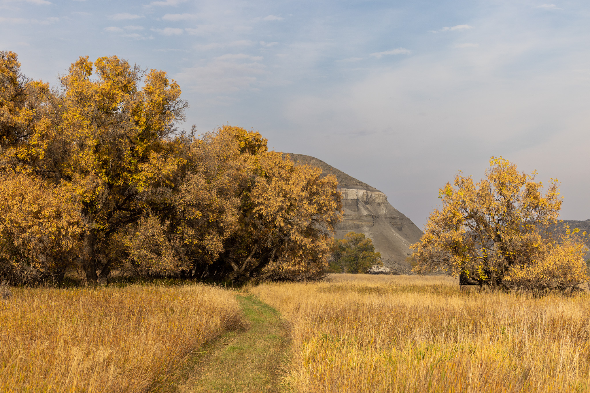 Nhn Lonely Road Property Photo 52