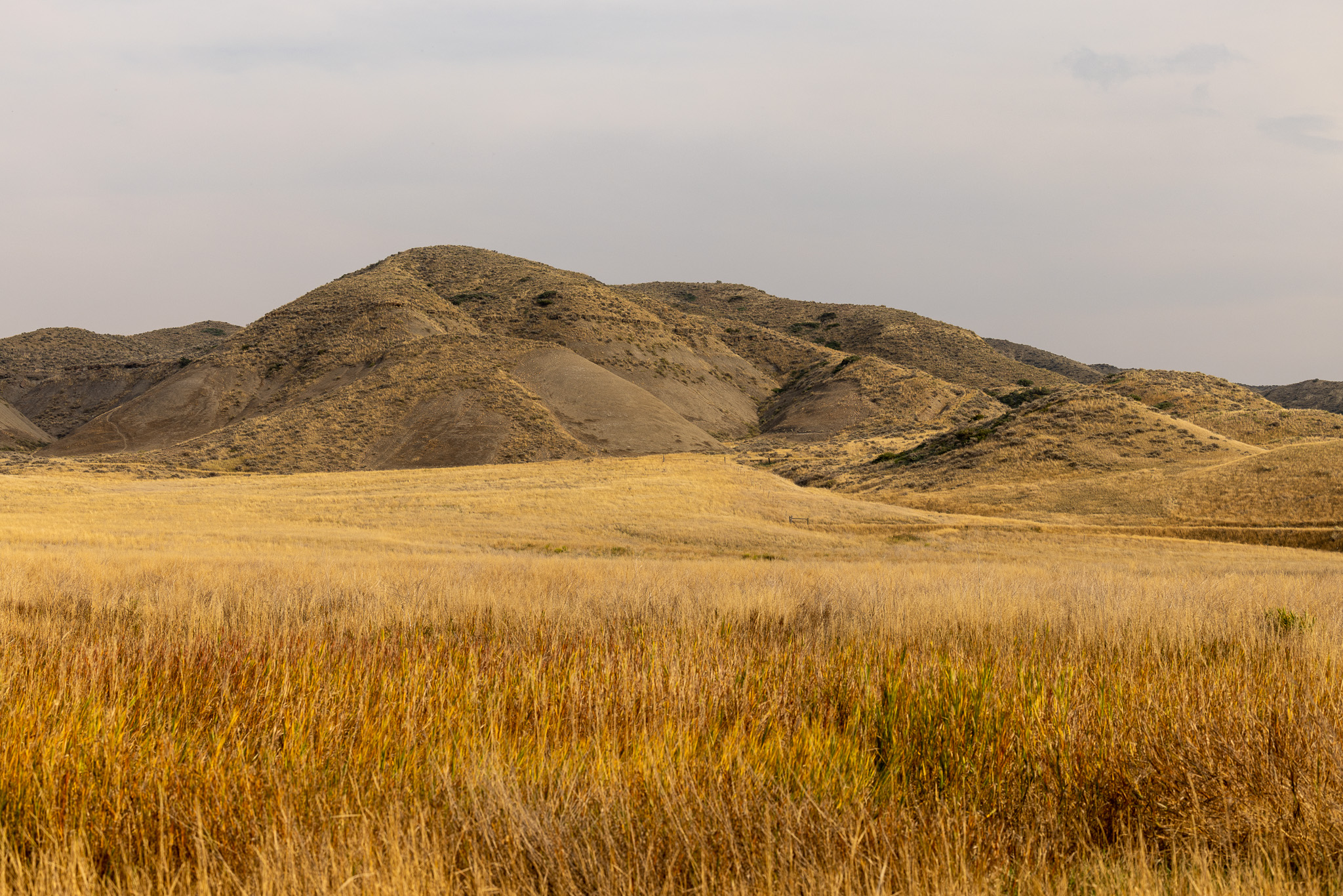 Nhn Lonely Road Property Photo 53