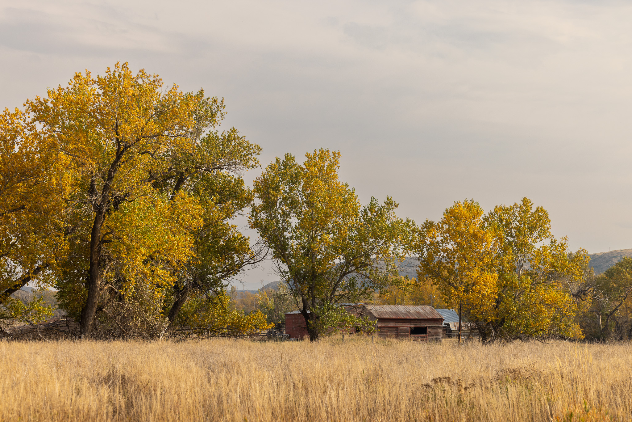 Nhn Lonely Road Property Photo 54