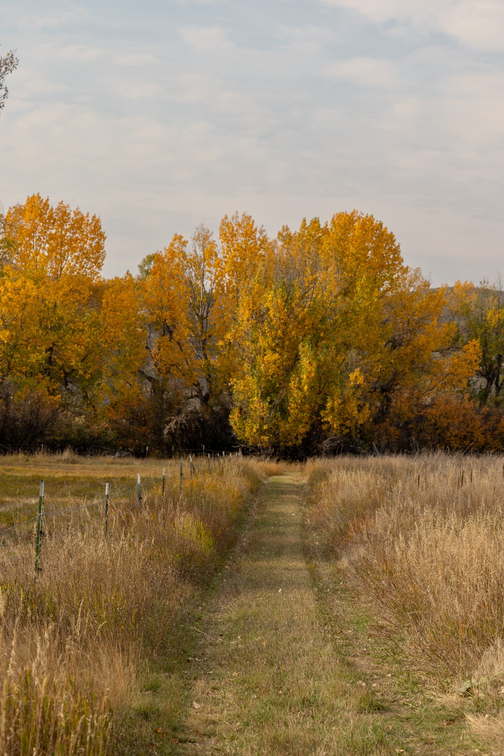 Nhn Lonely Road Property Photo 59
