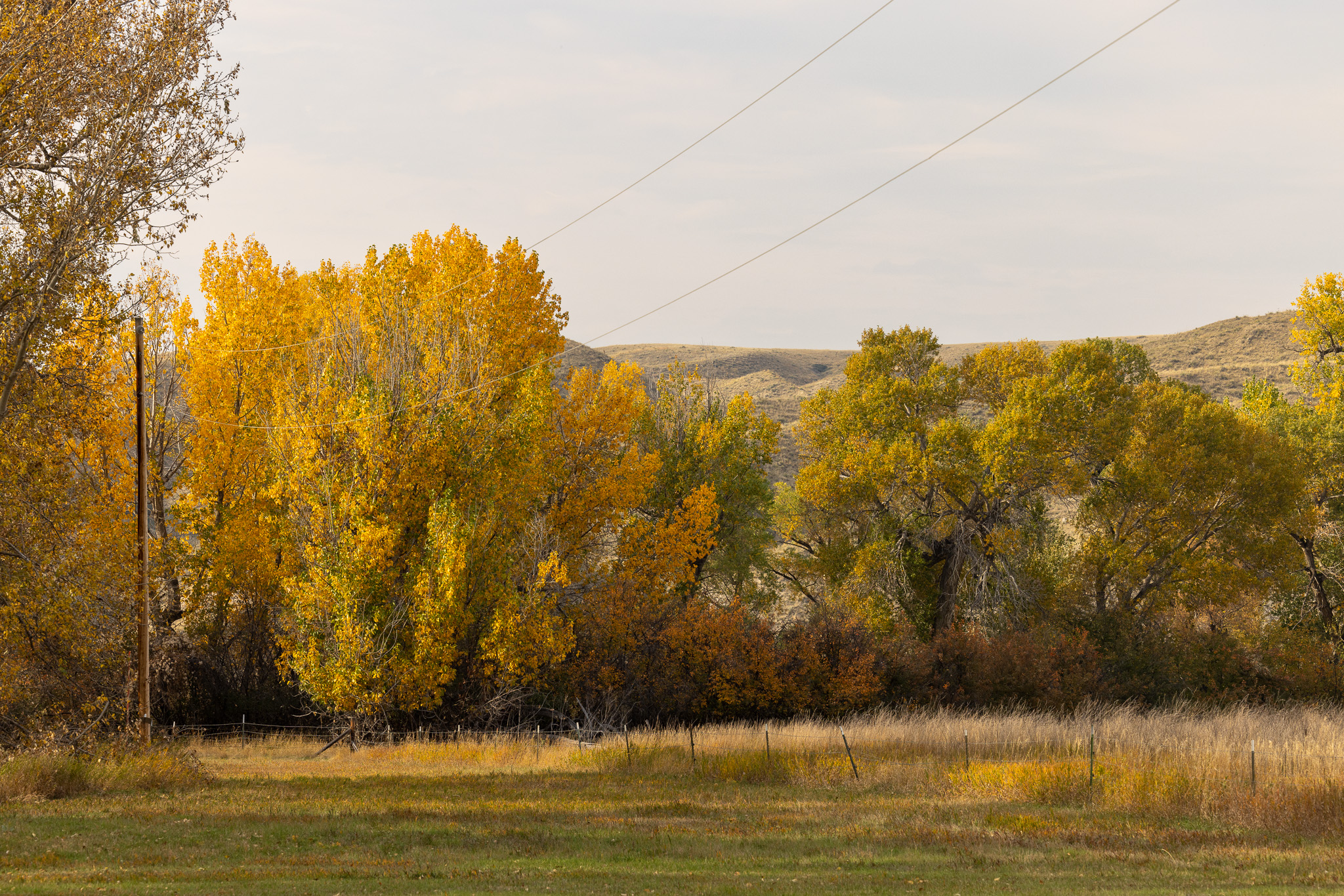 Nhn Lonely Road Property Photo 61
