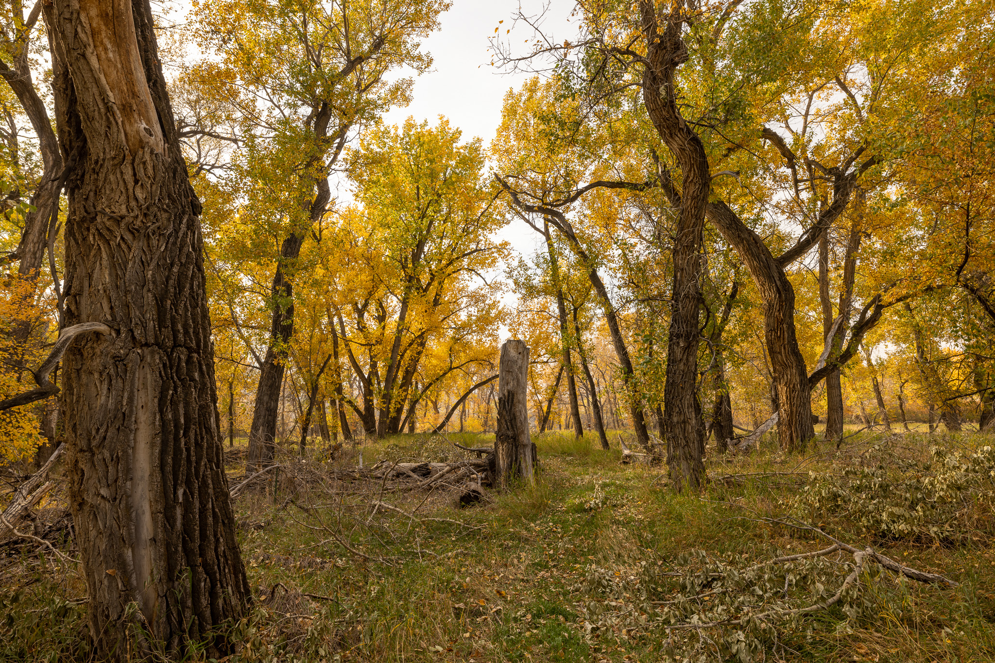 Nhn Lonely Road Property Photo 62