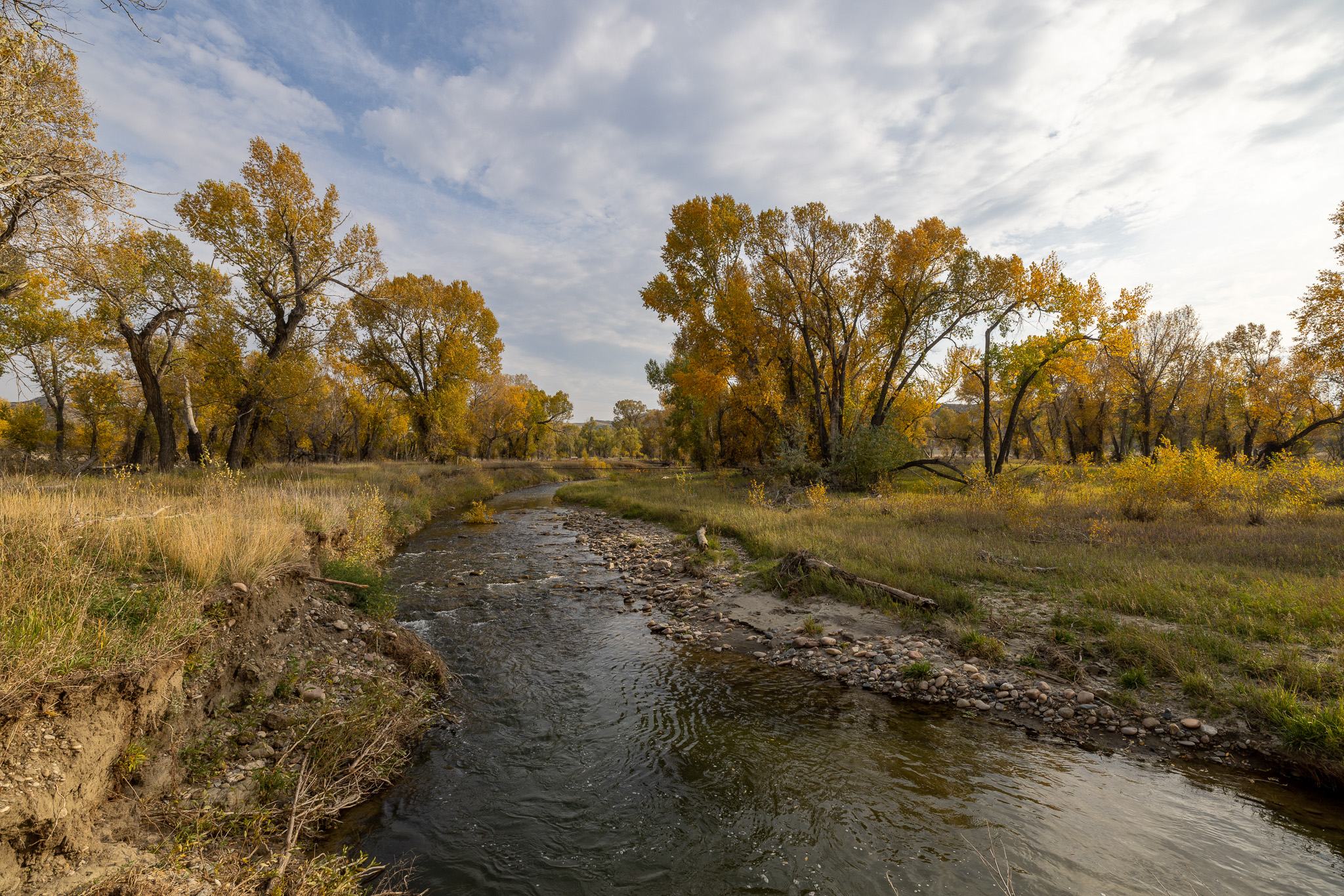 Nhn Lonely Road Property Photo 63