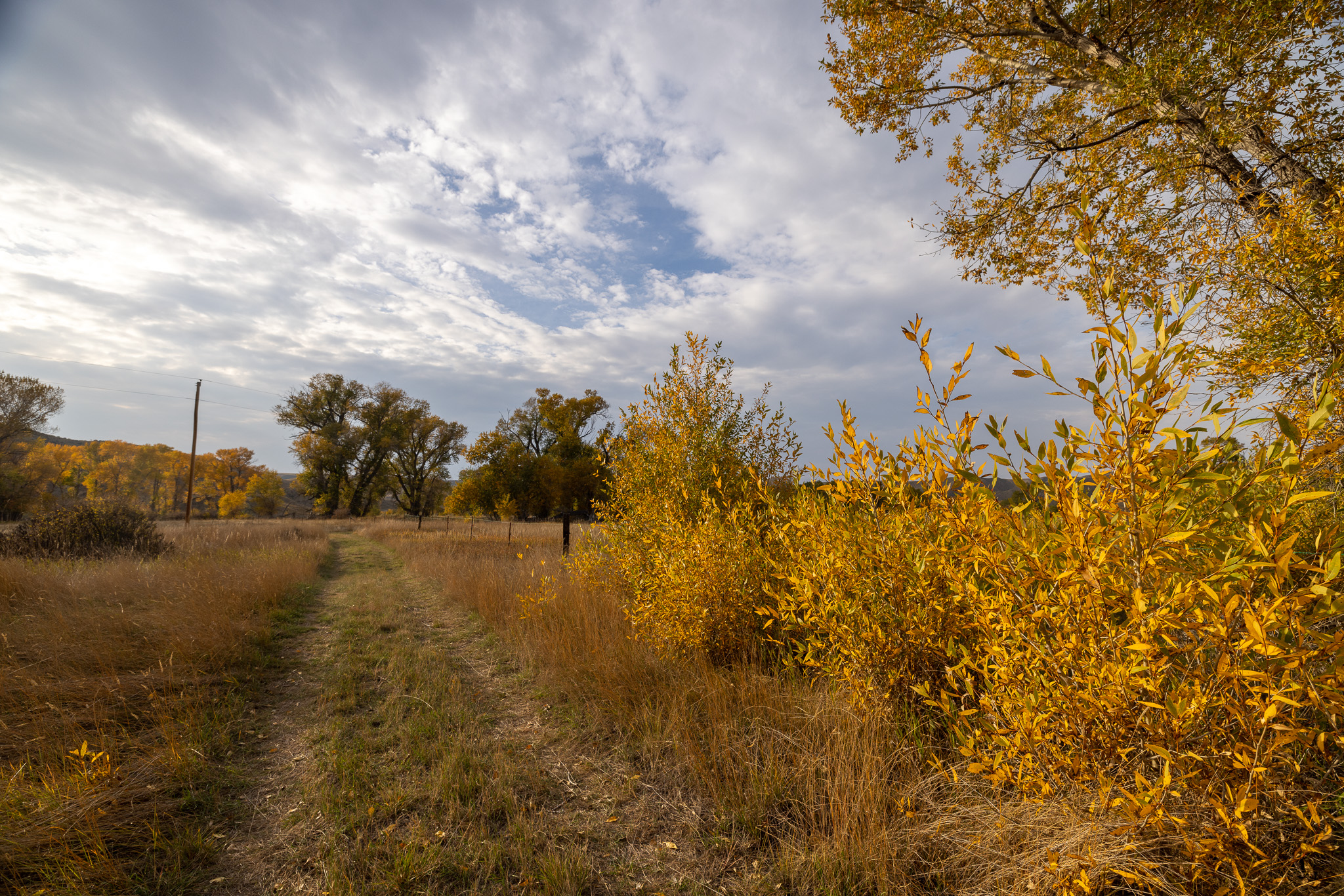 Nhn Lonely Road Property Photo 68