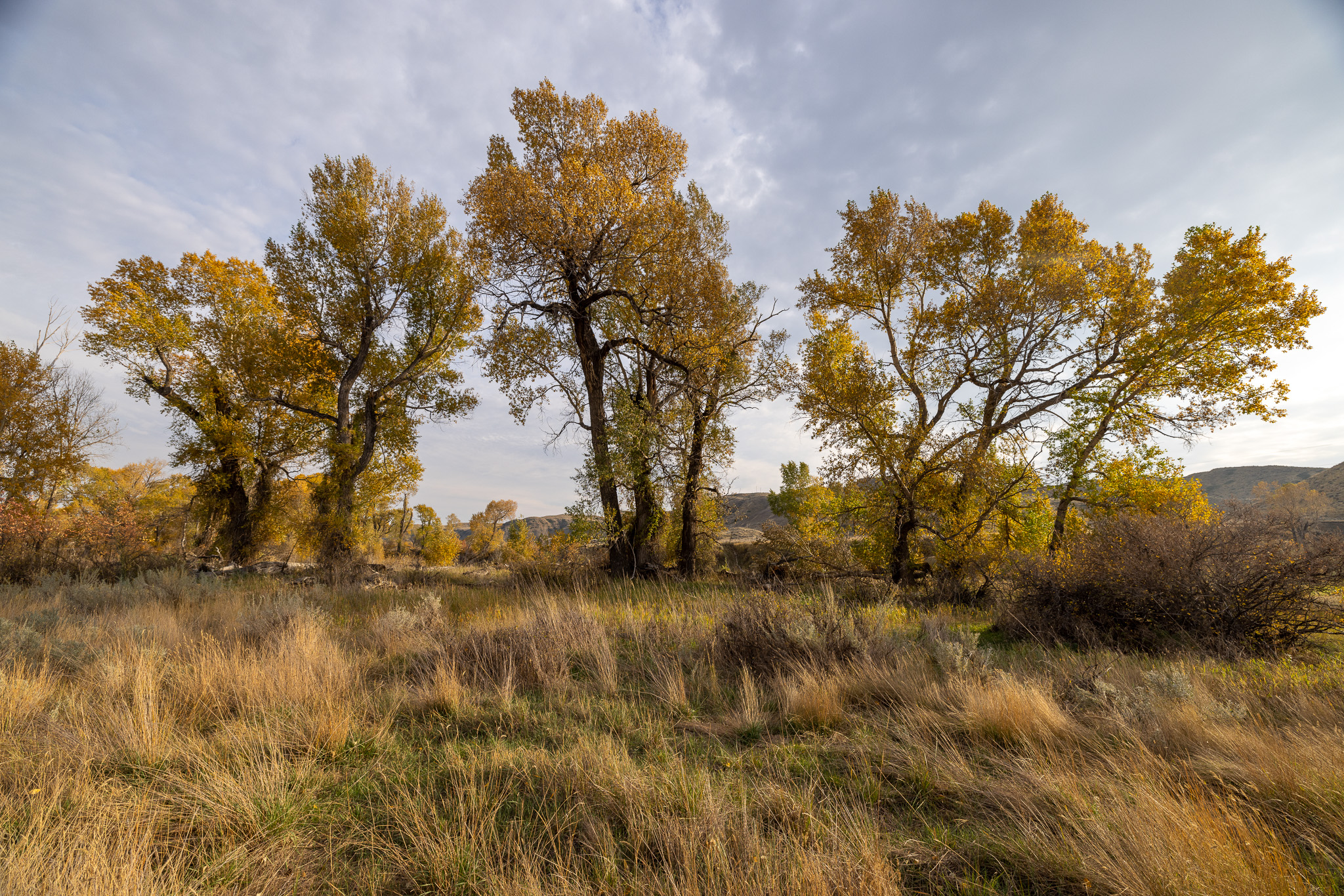 Nhn Lonely Road Property Photo 69