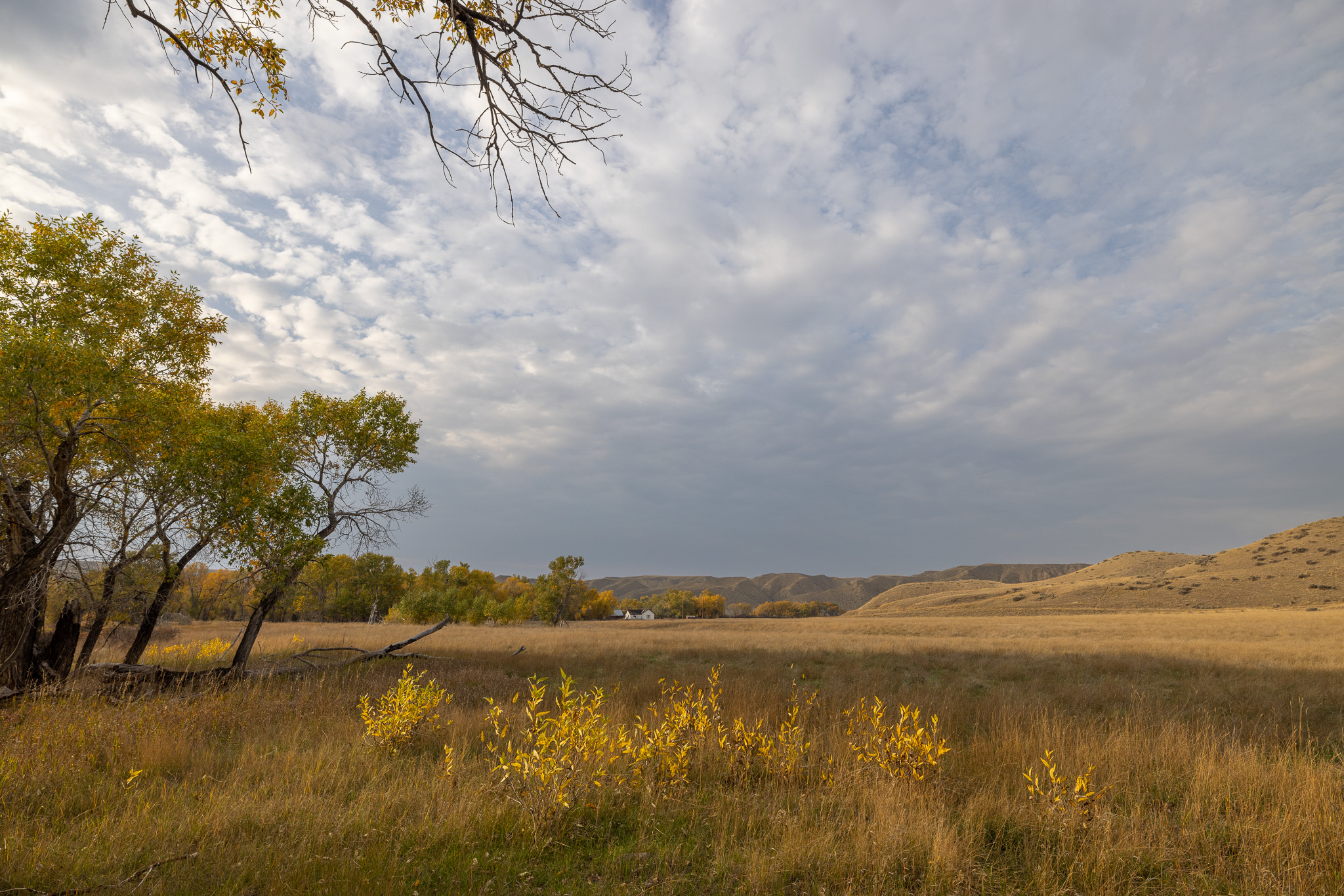 Nhn Lonely Road Property Photo 70