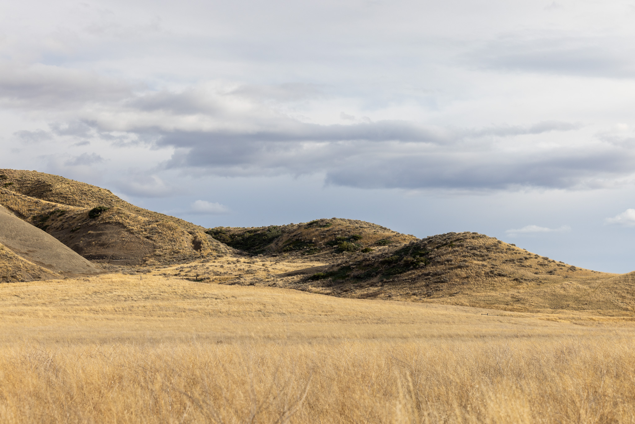 Nhn Lonely Road Property Photo 74