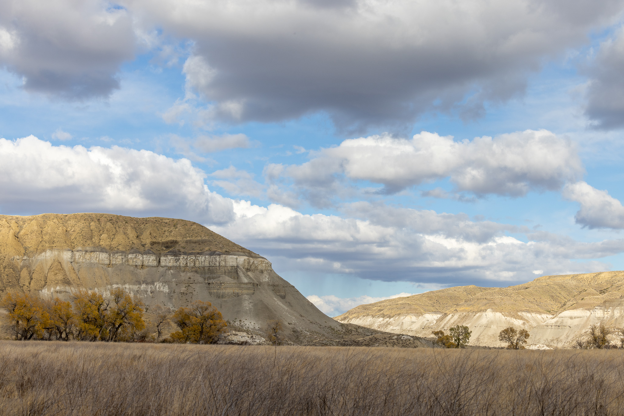 Nhn Lonely Road Property Photo 75