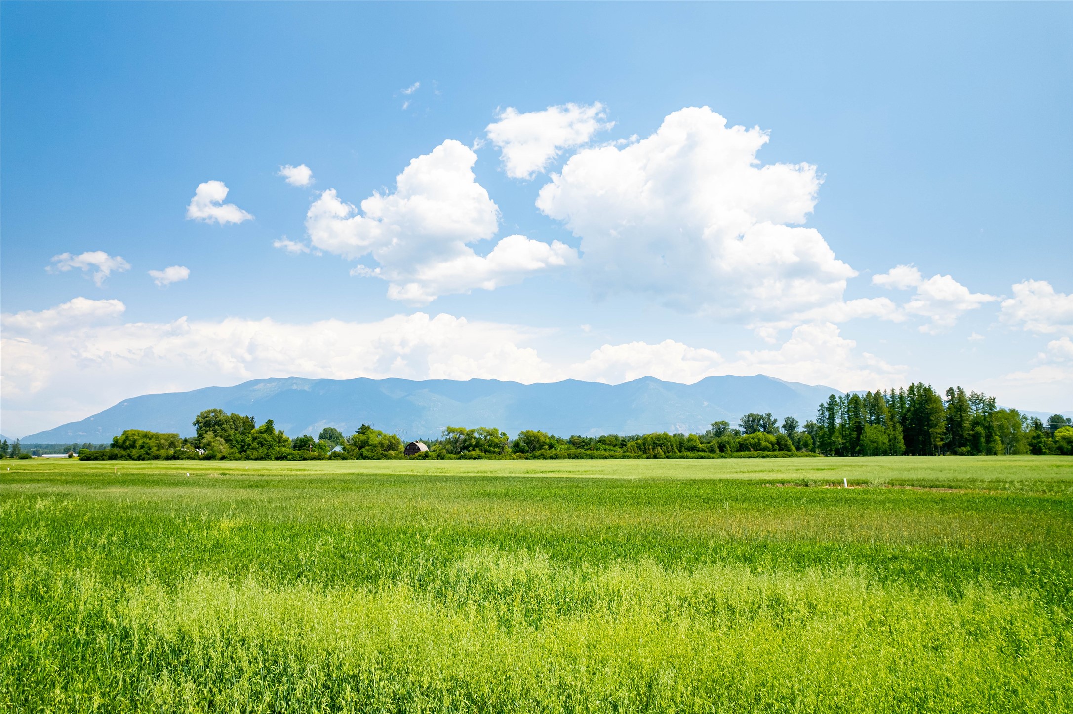 River Meadows Real Estate Listings Main Image