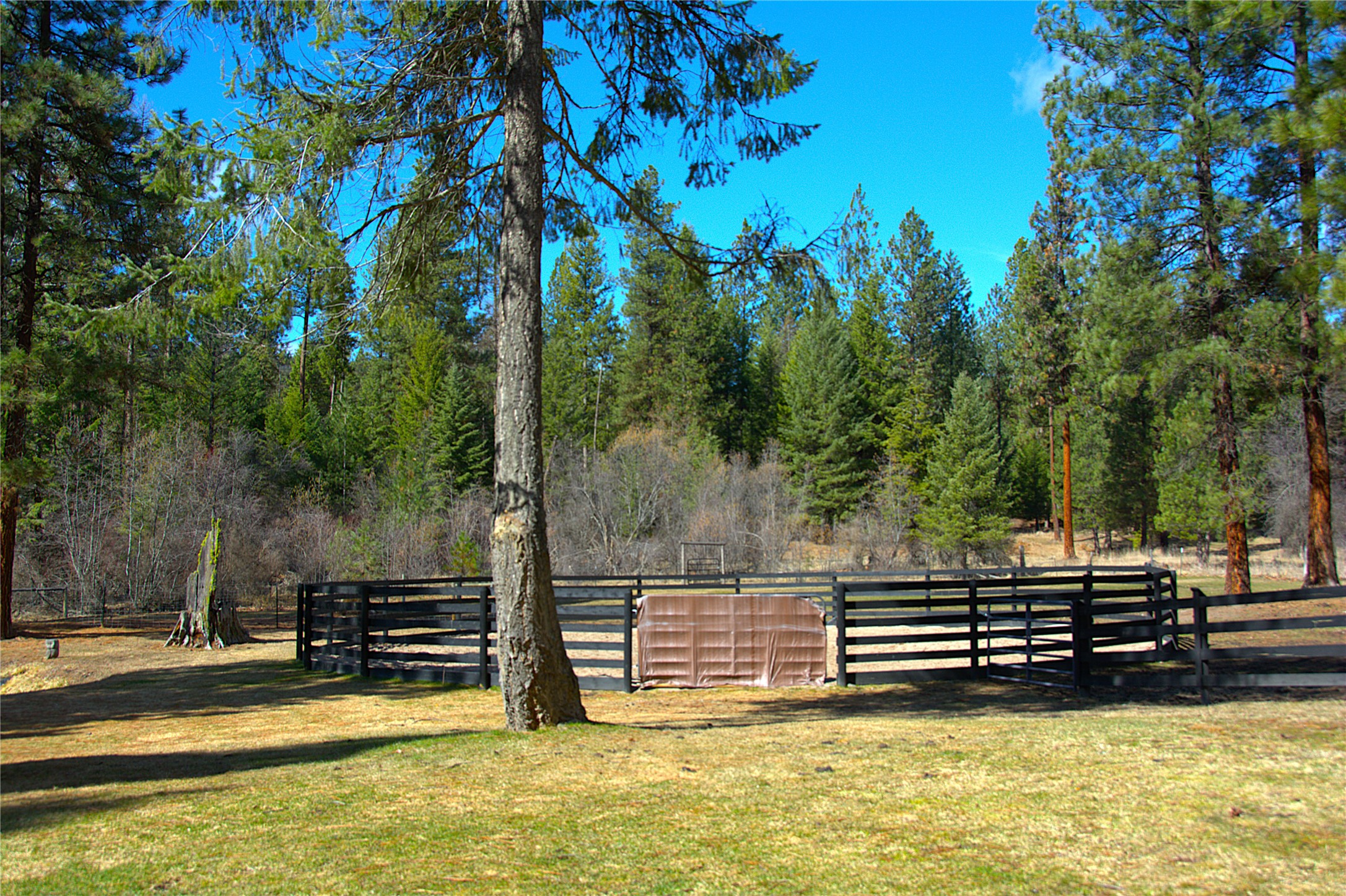 51 Little Thompson River Road Property Photo 36