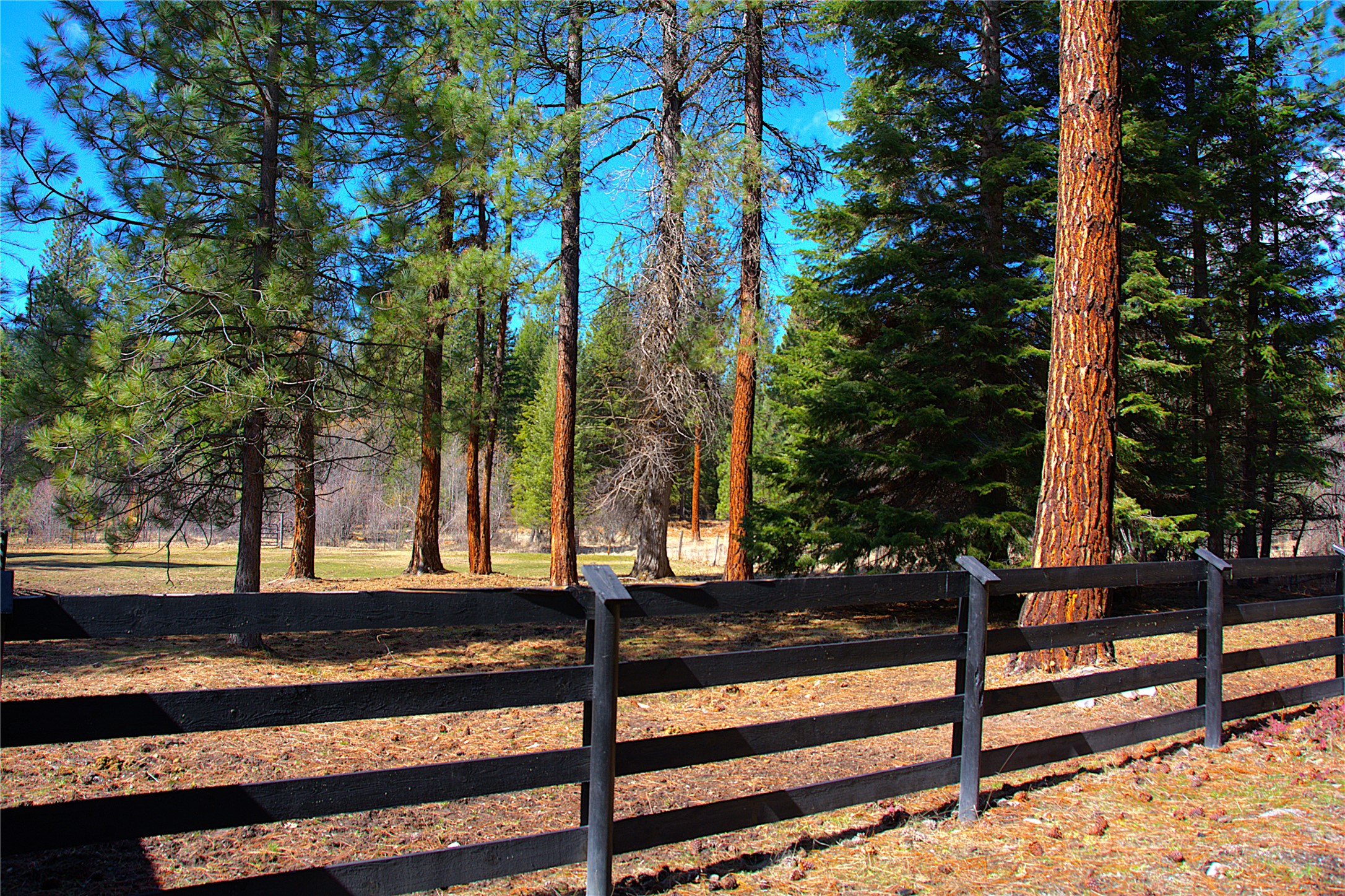 51 Little Thompson River Road Property Photo 55