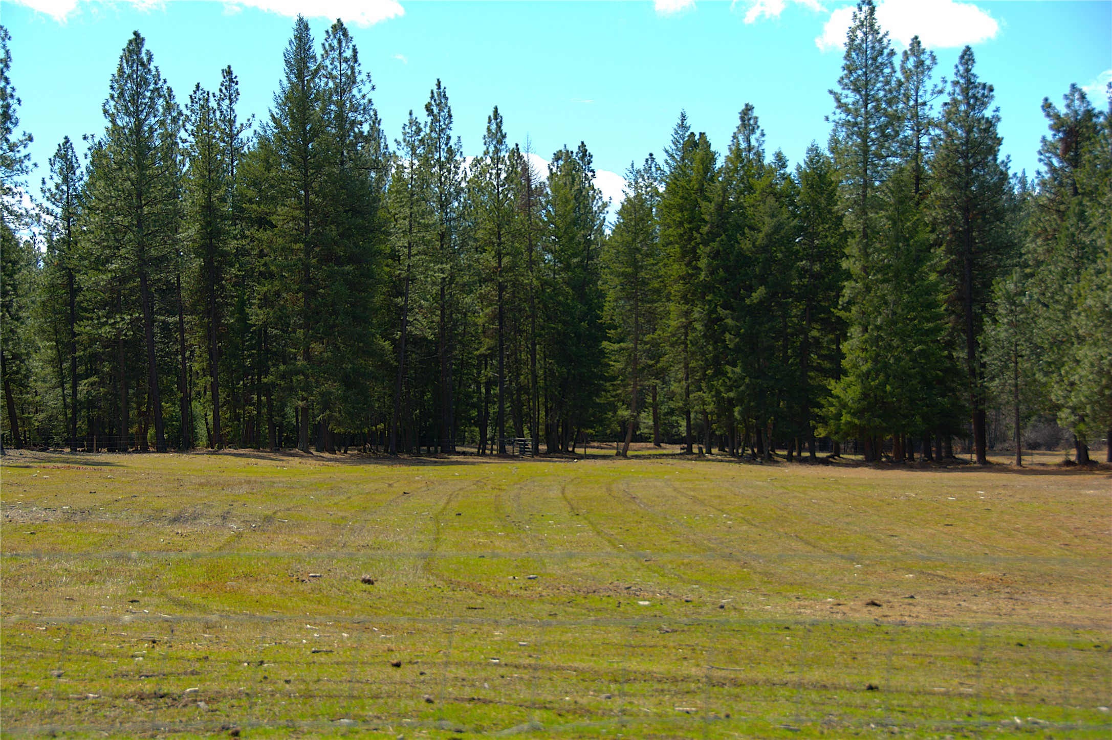 51 Little Thompson River Road Property Photo 63