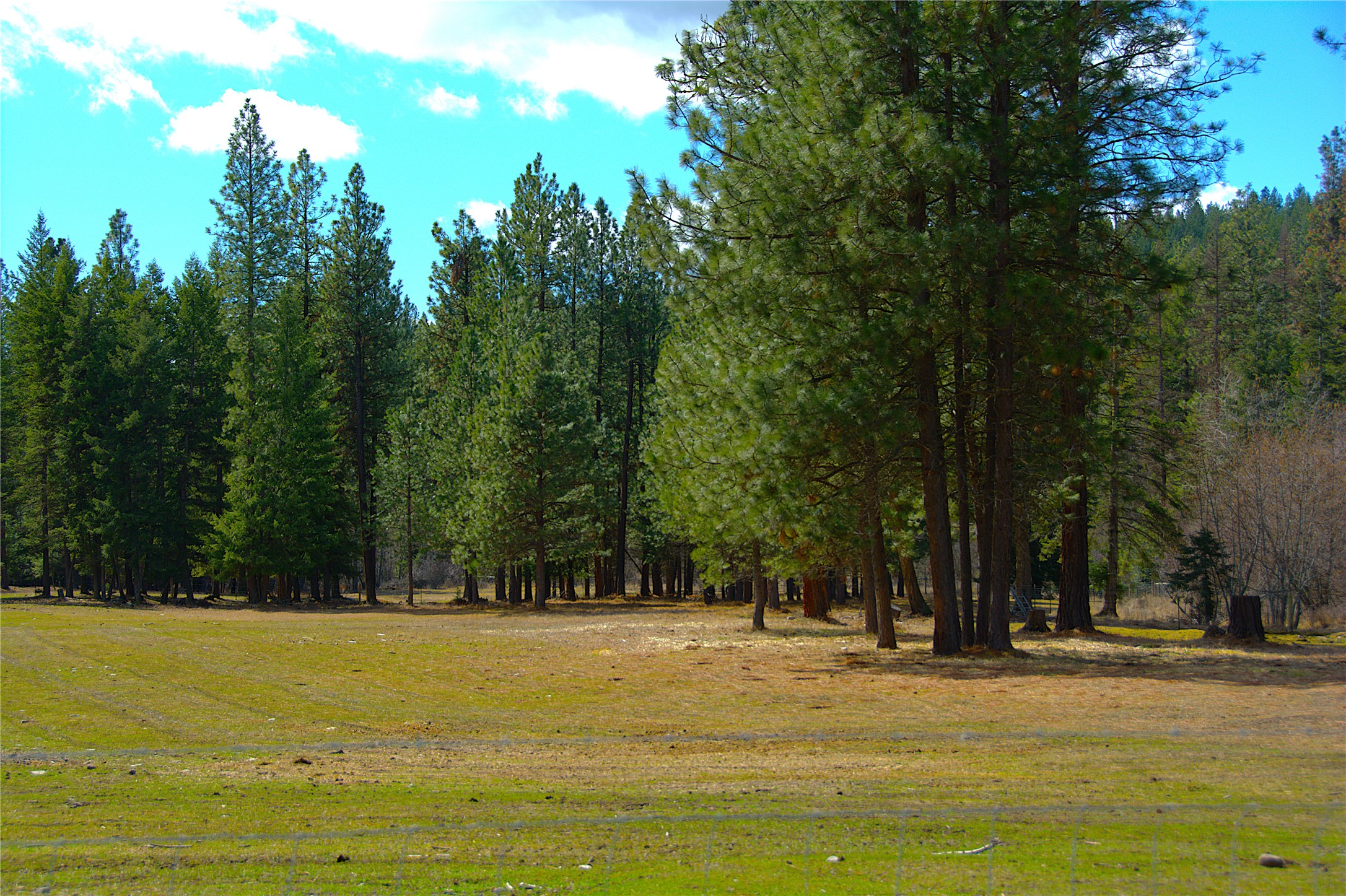 51 Little Thompson River Road Property Photo 65