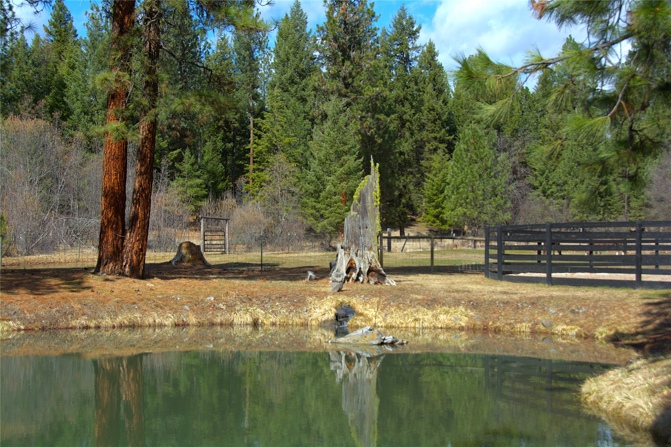51 Little Thompson River Road Property Photo 66