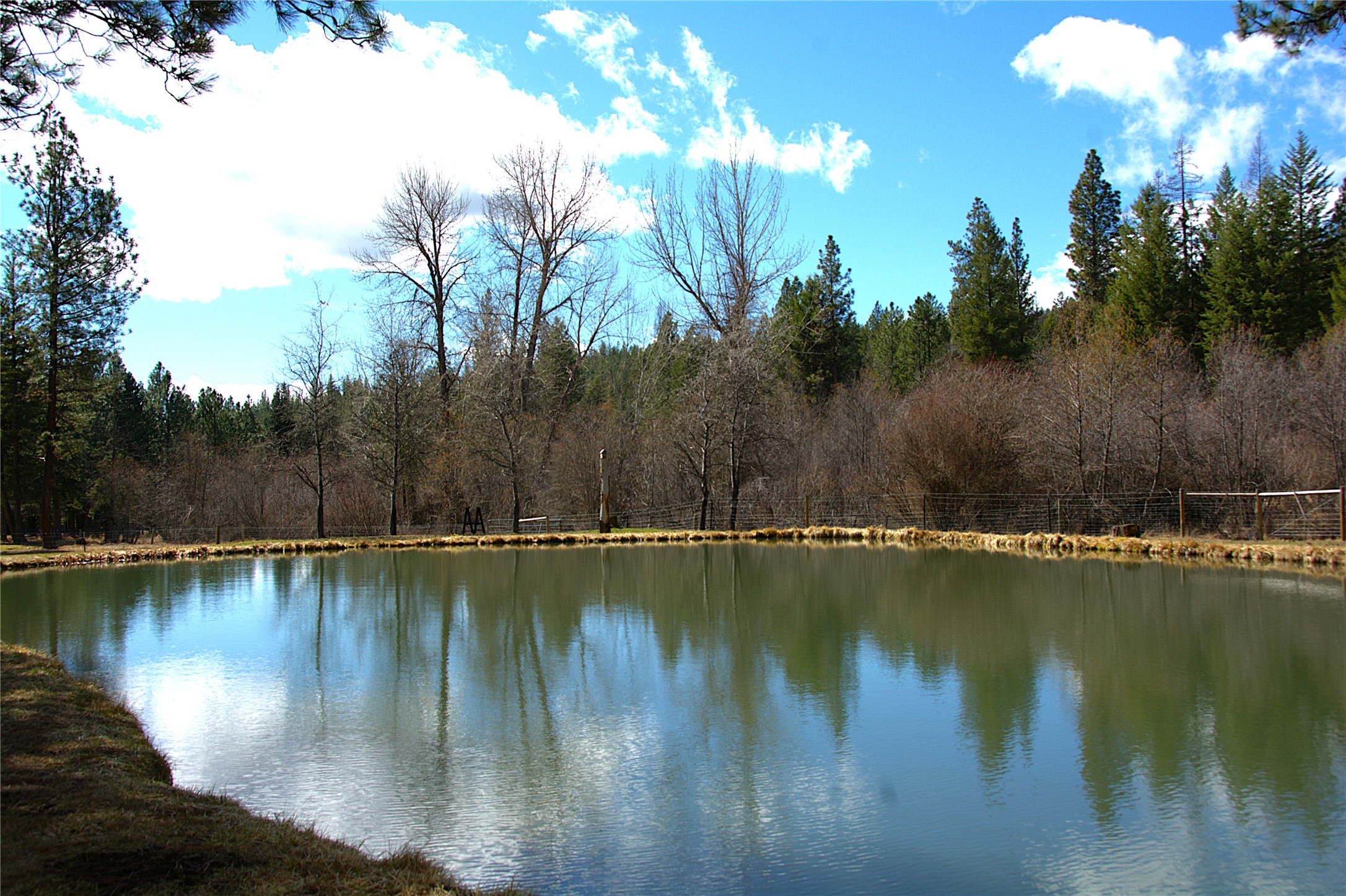 51 Little Thompson River Road Property Photo 68