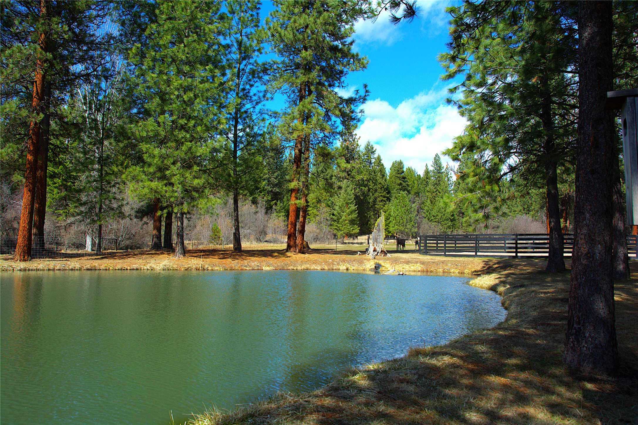 51 Little Thompson River Road Property Photo 69