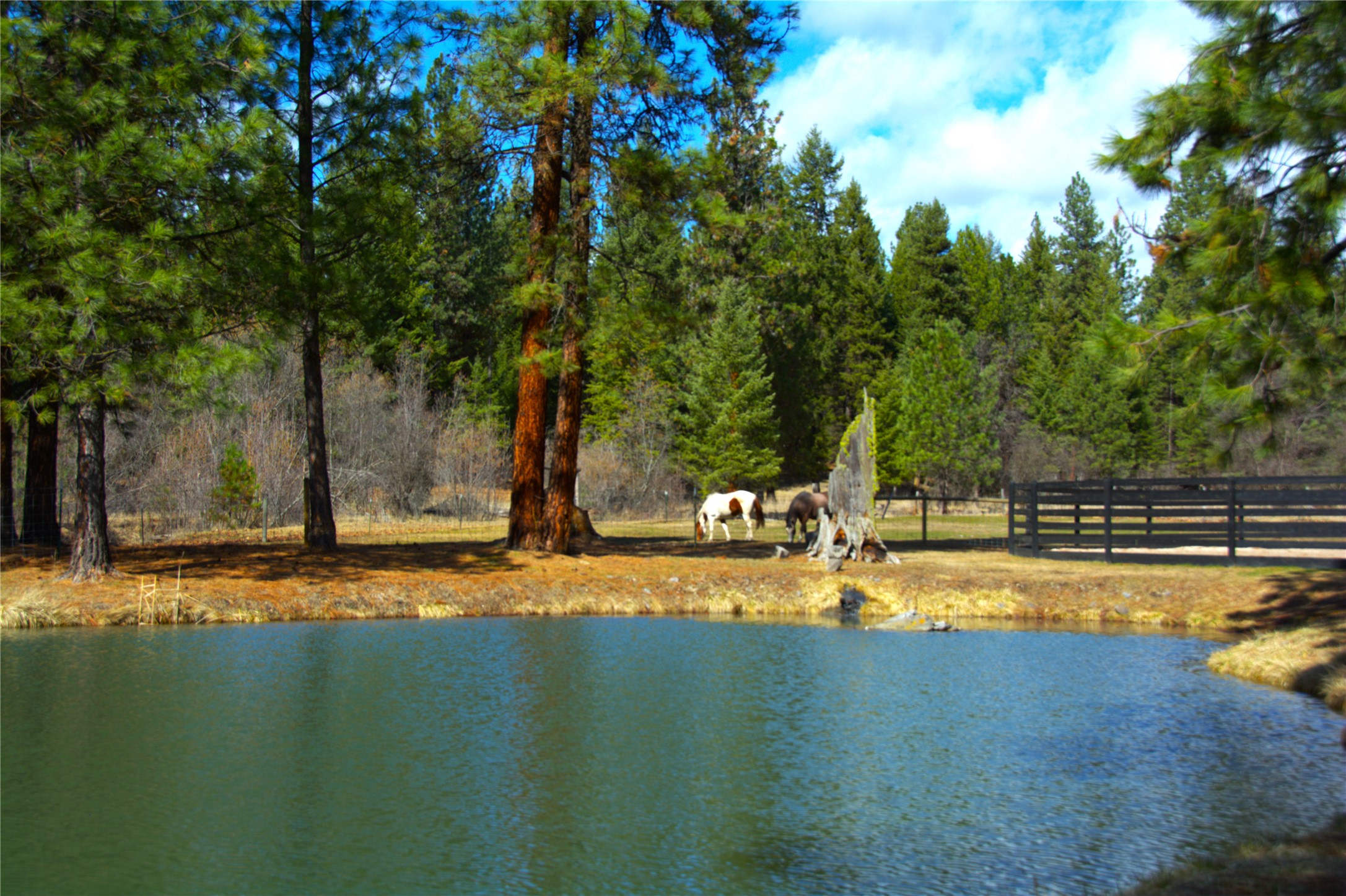 51 Little Thompson River Road Property Photo 70
