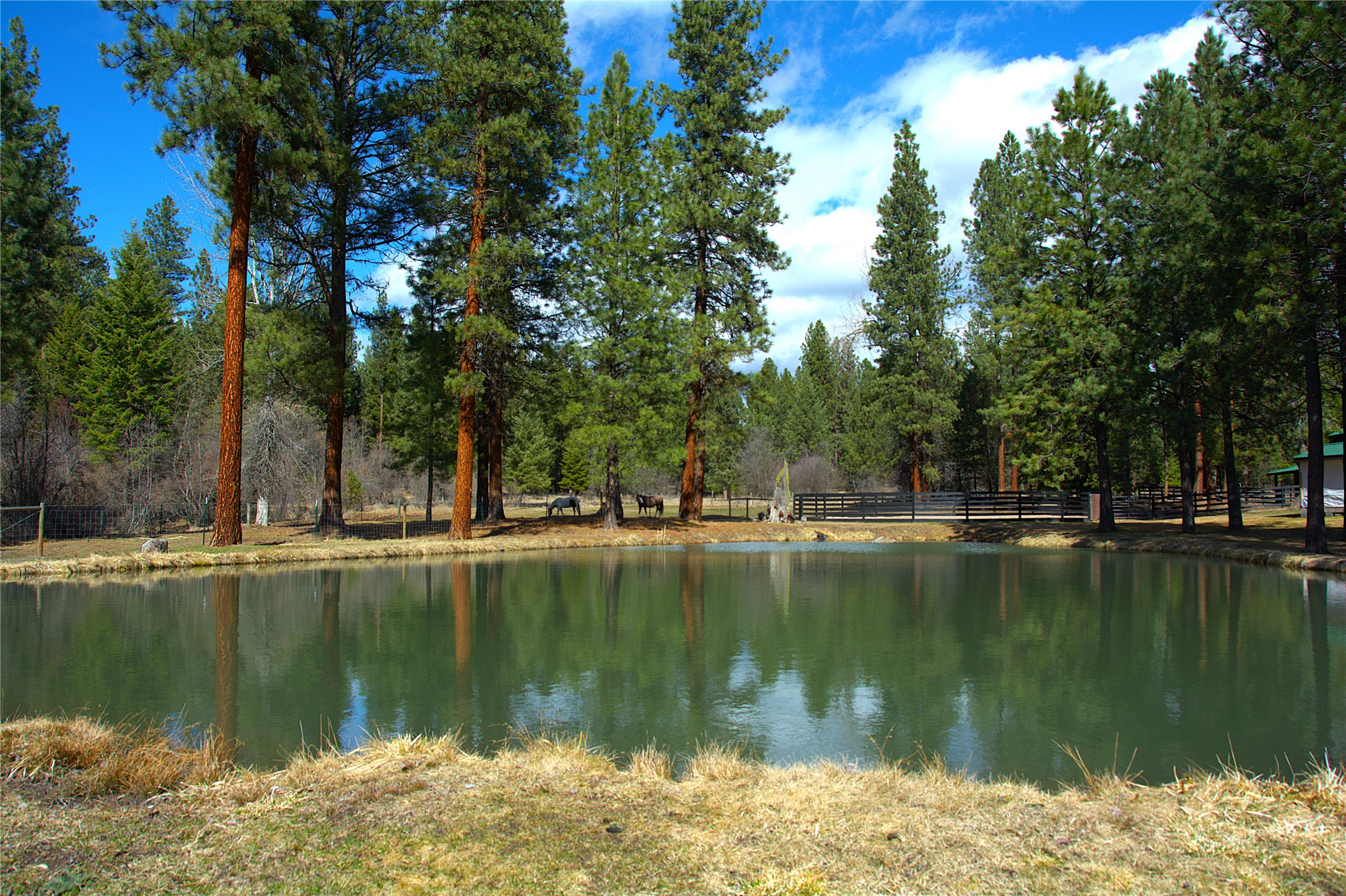 51 Little Thompson River Road Property Photo 71