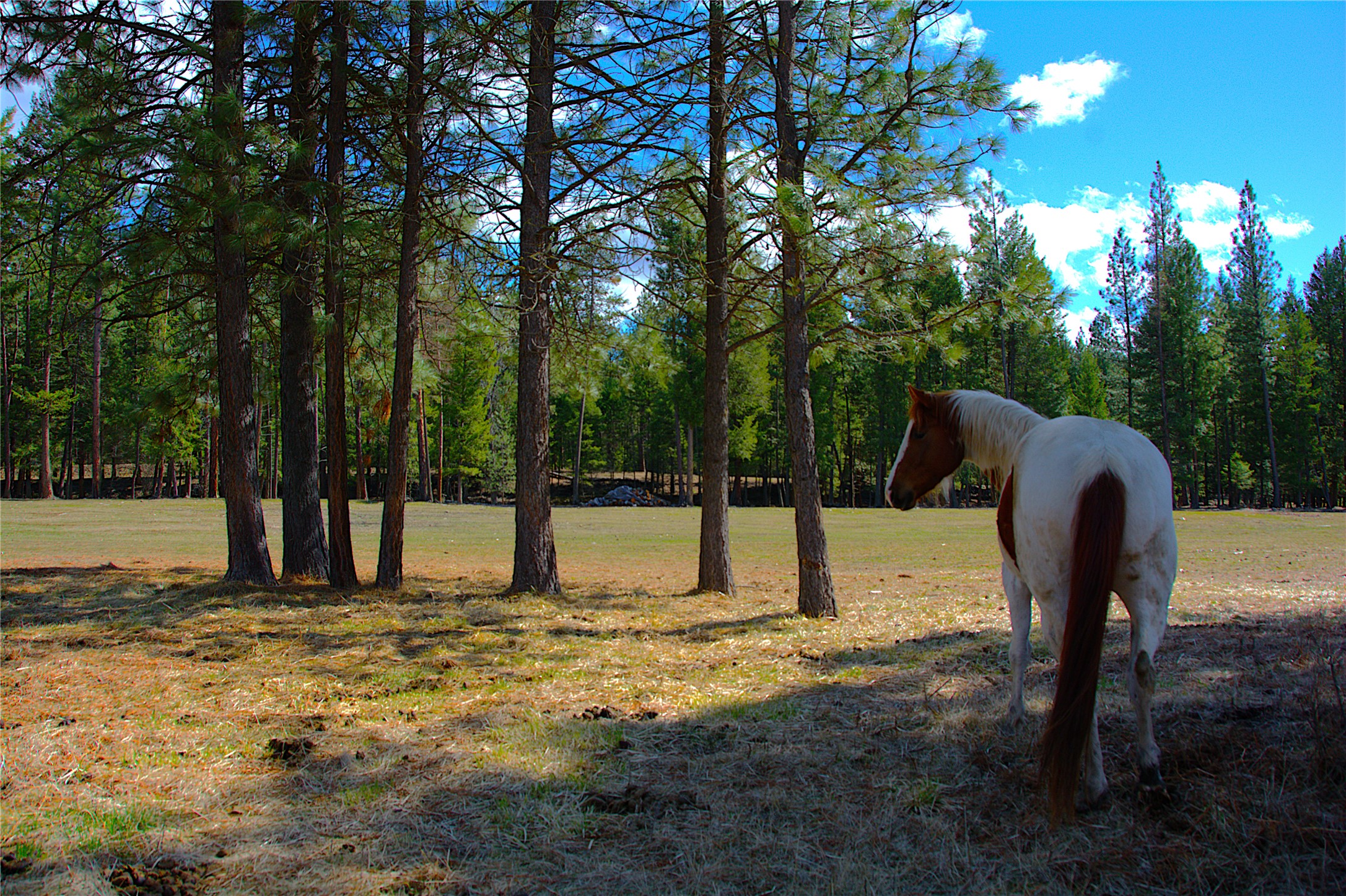 51 Little Thompson River Road Property Photo 74
