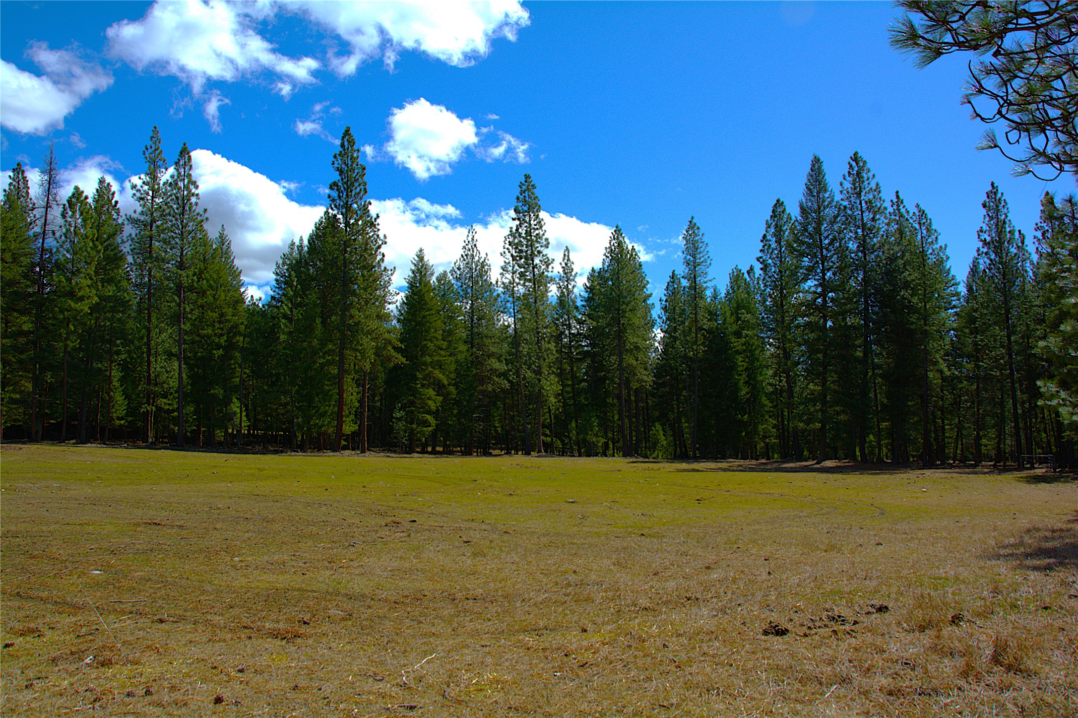 51 Little Thompson River Road Property Photo 76