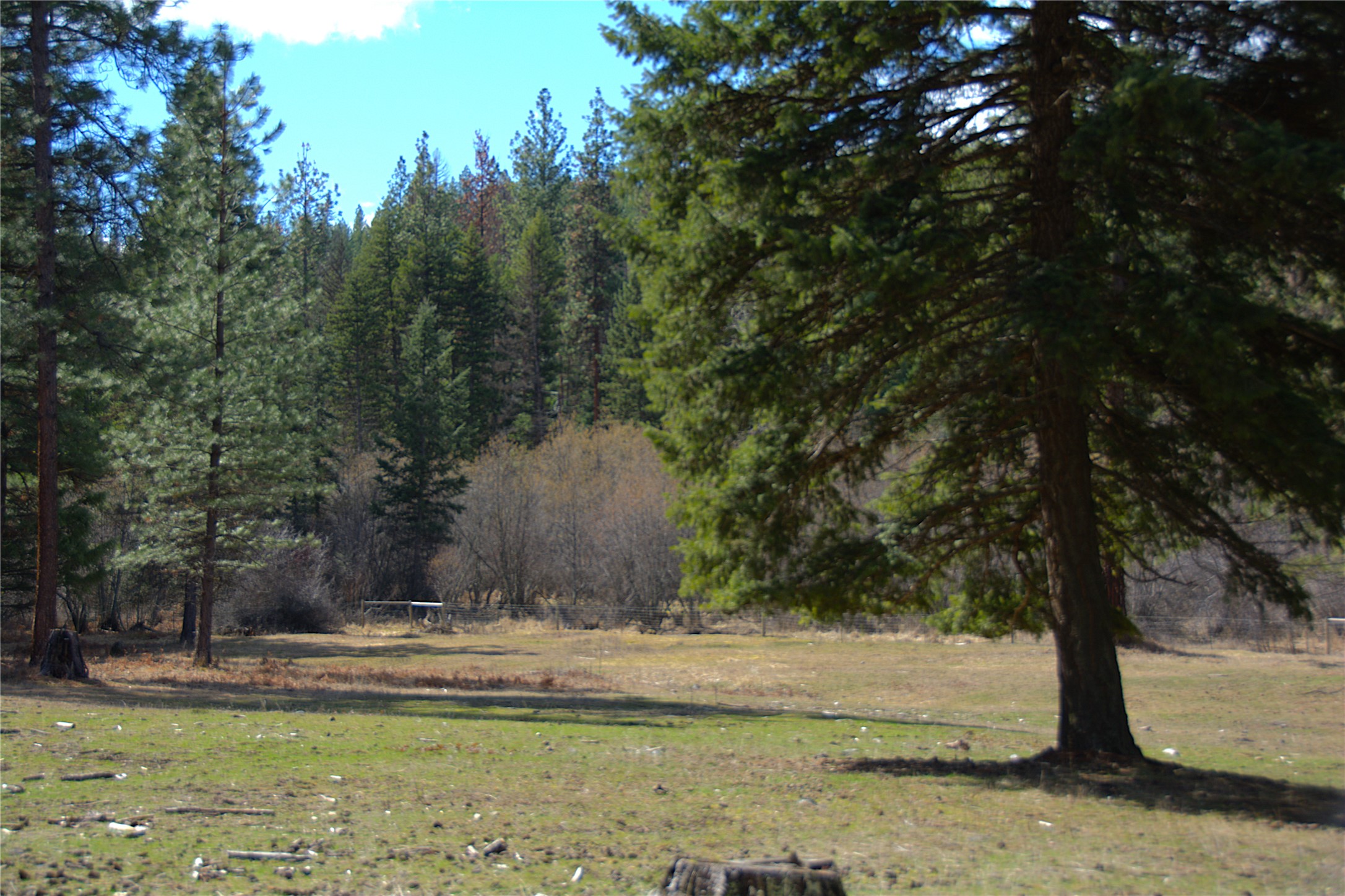 51 Little Thompson River Road Property Photo 78