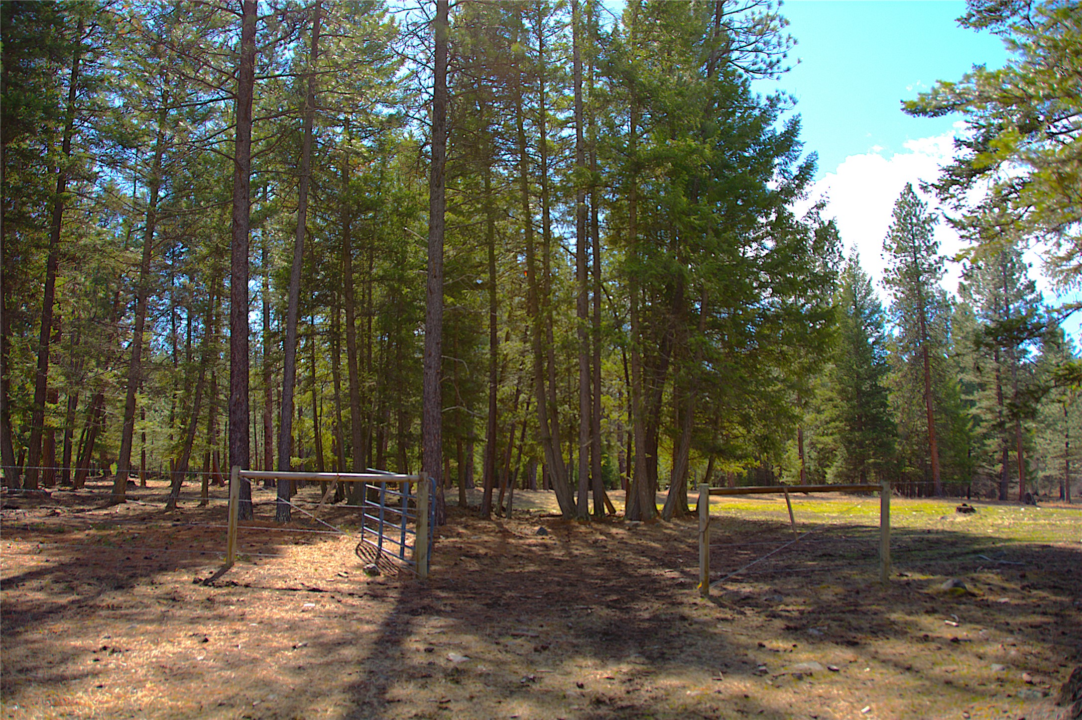 51 Little Thompson River Road Property Photo 79