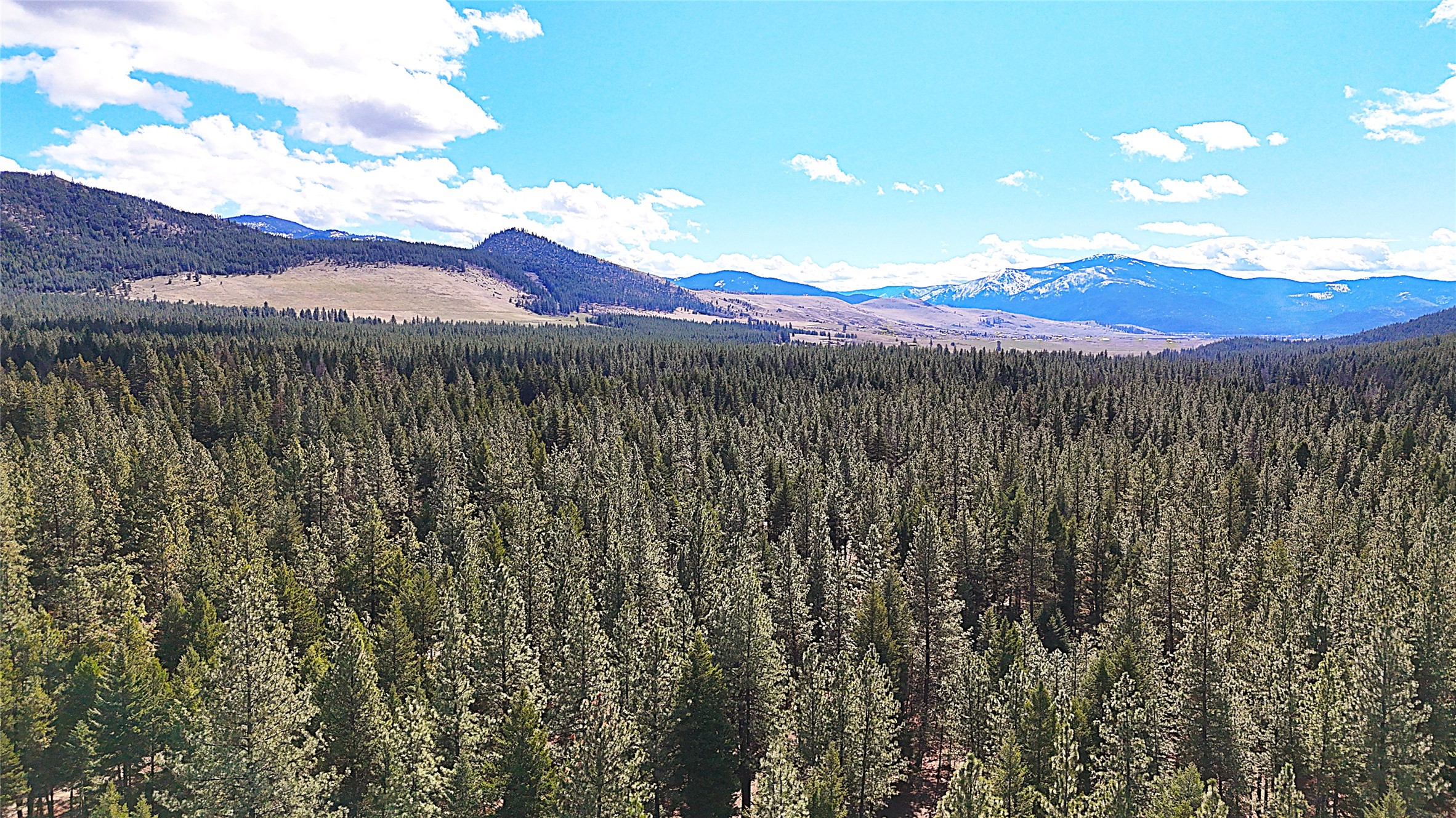 51 Little Thompson River Road Property Photo 87