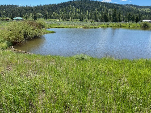 4425 W Willow Creek Road Property Photo 62