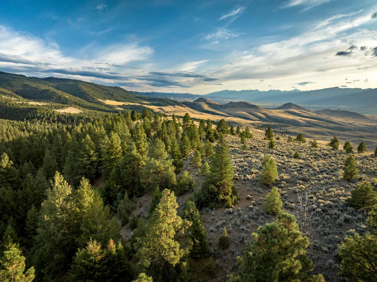 3689 Corley Gulch Road Property Photo